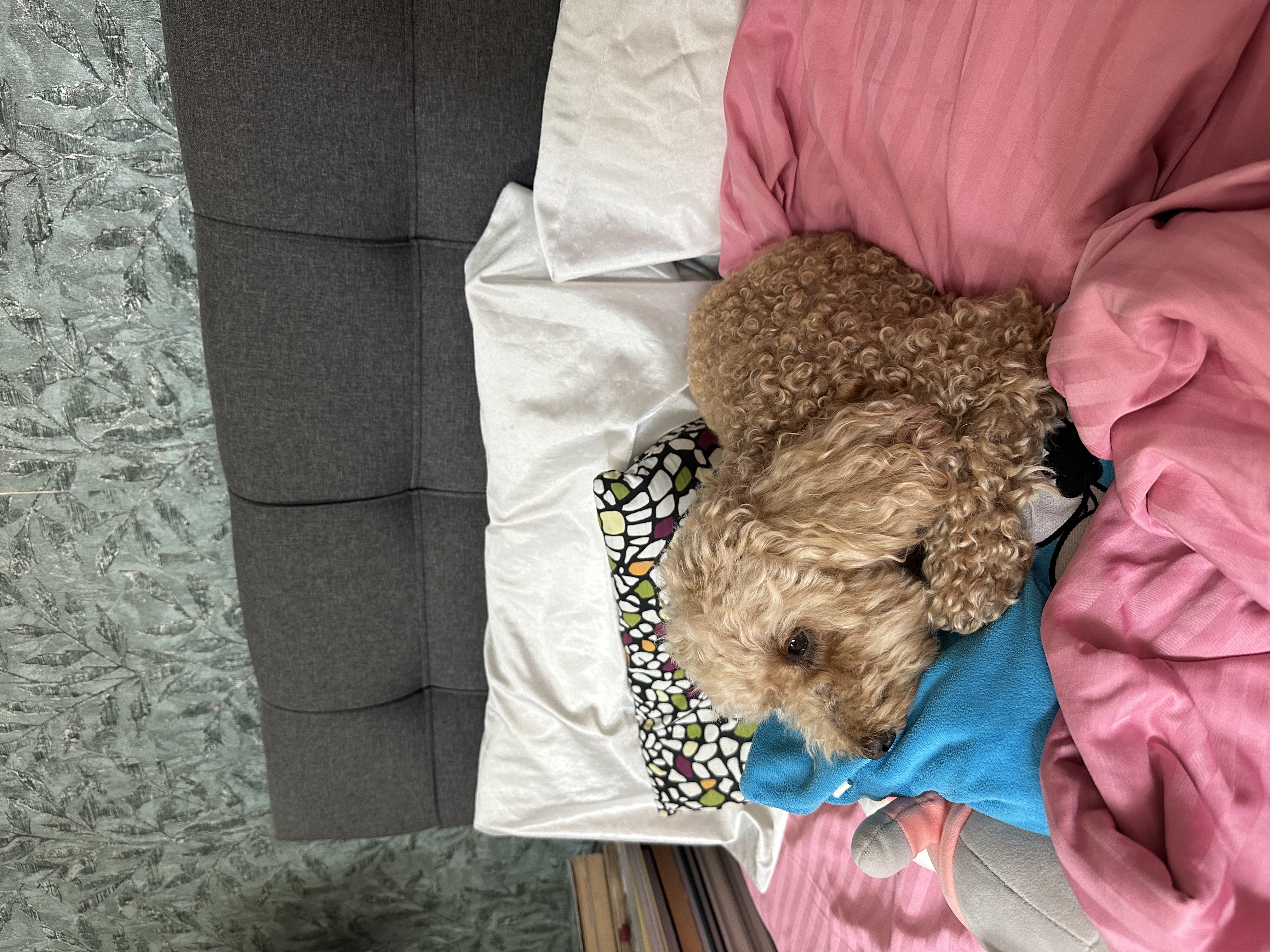 image-5
