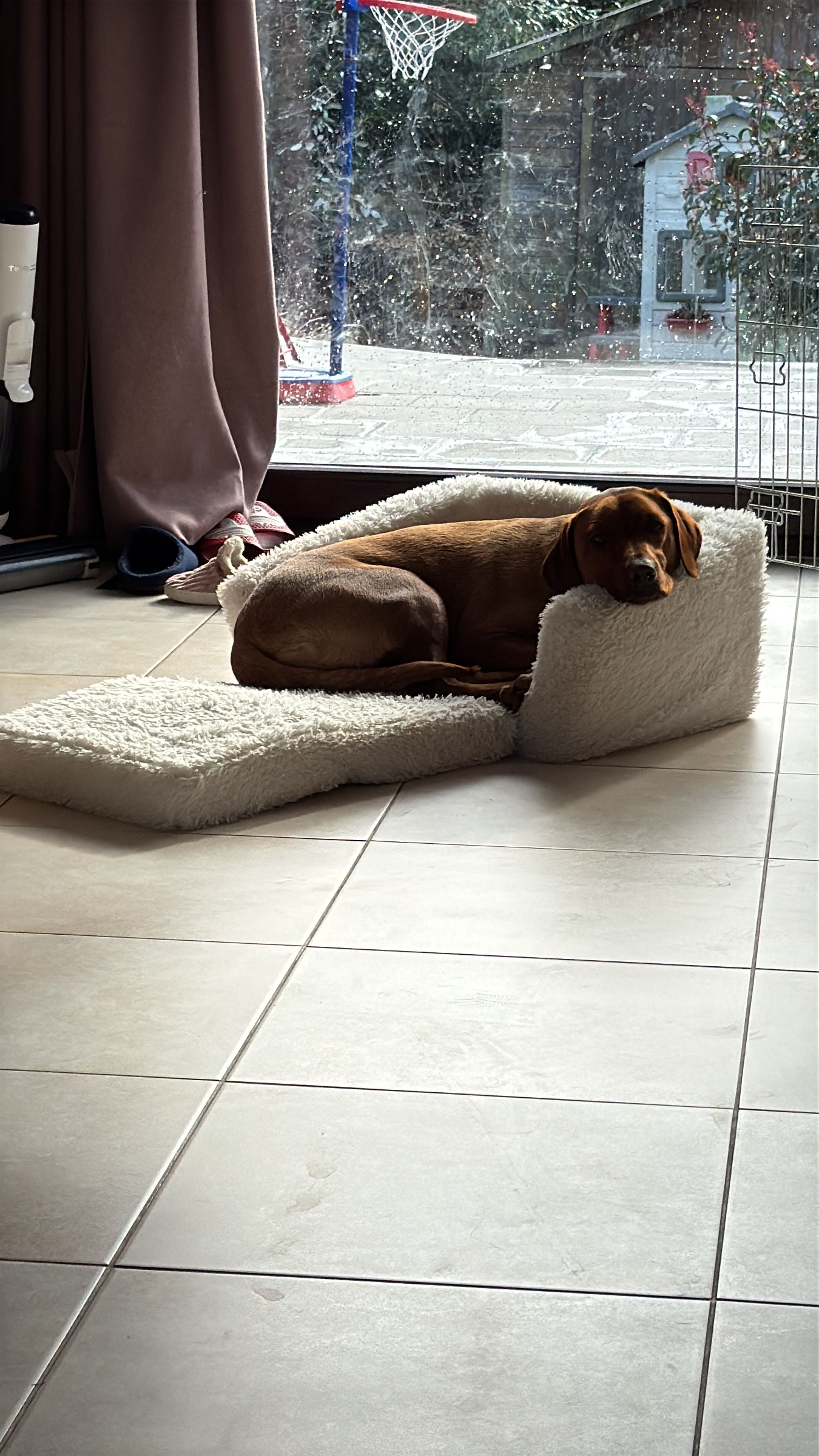 image-19