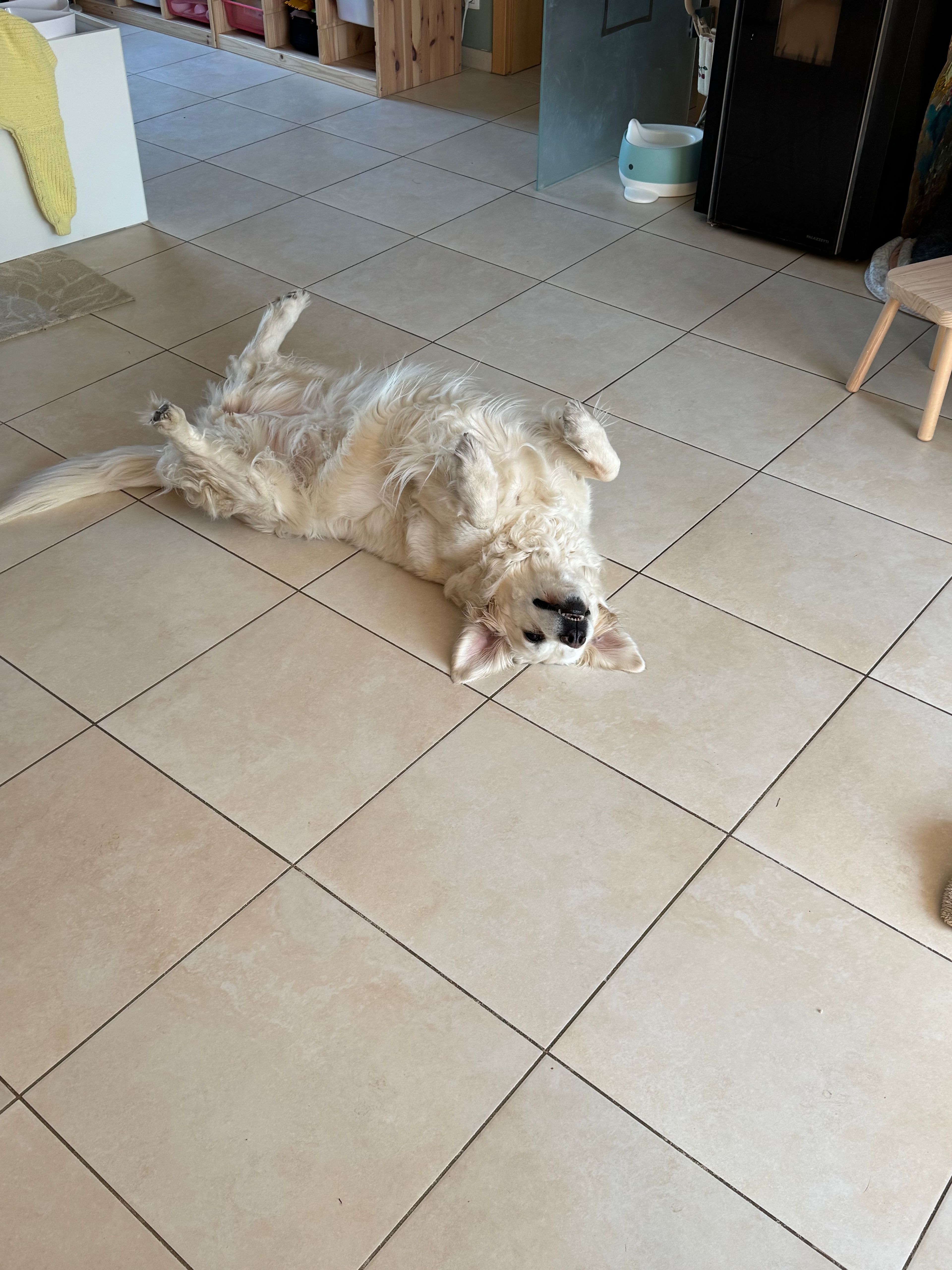 image-22