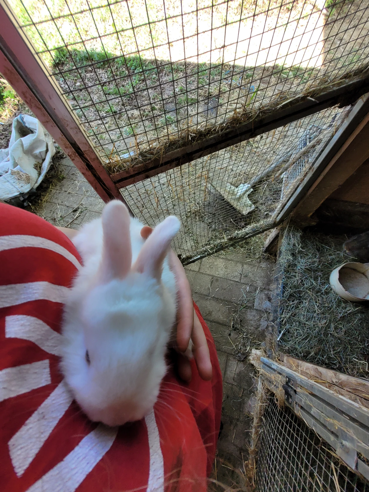 image-16