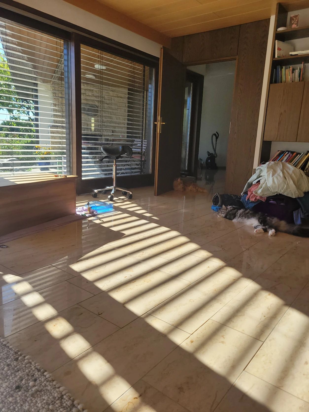 image-24
