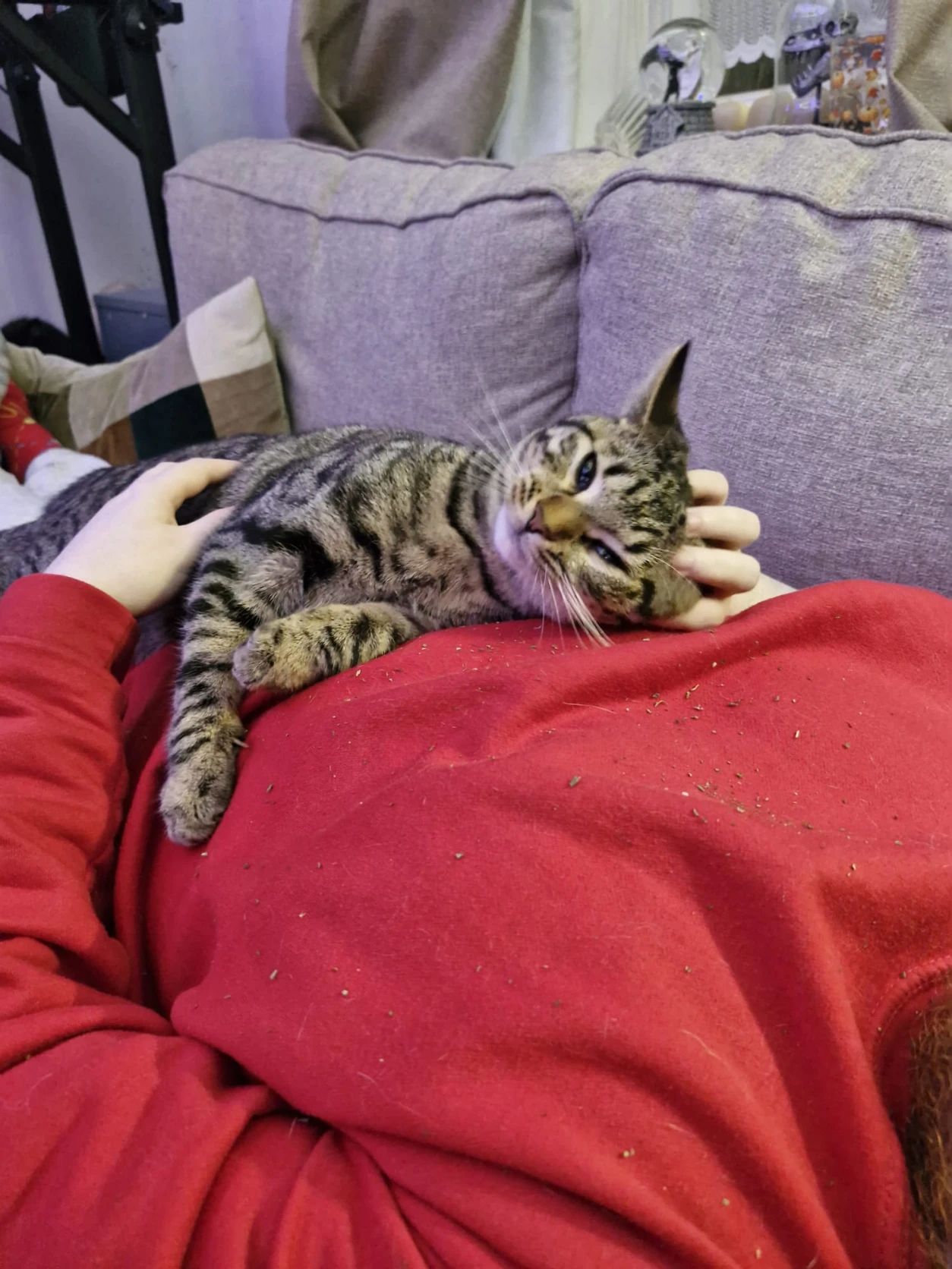 image-8