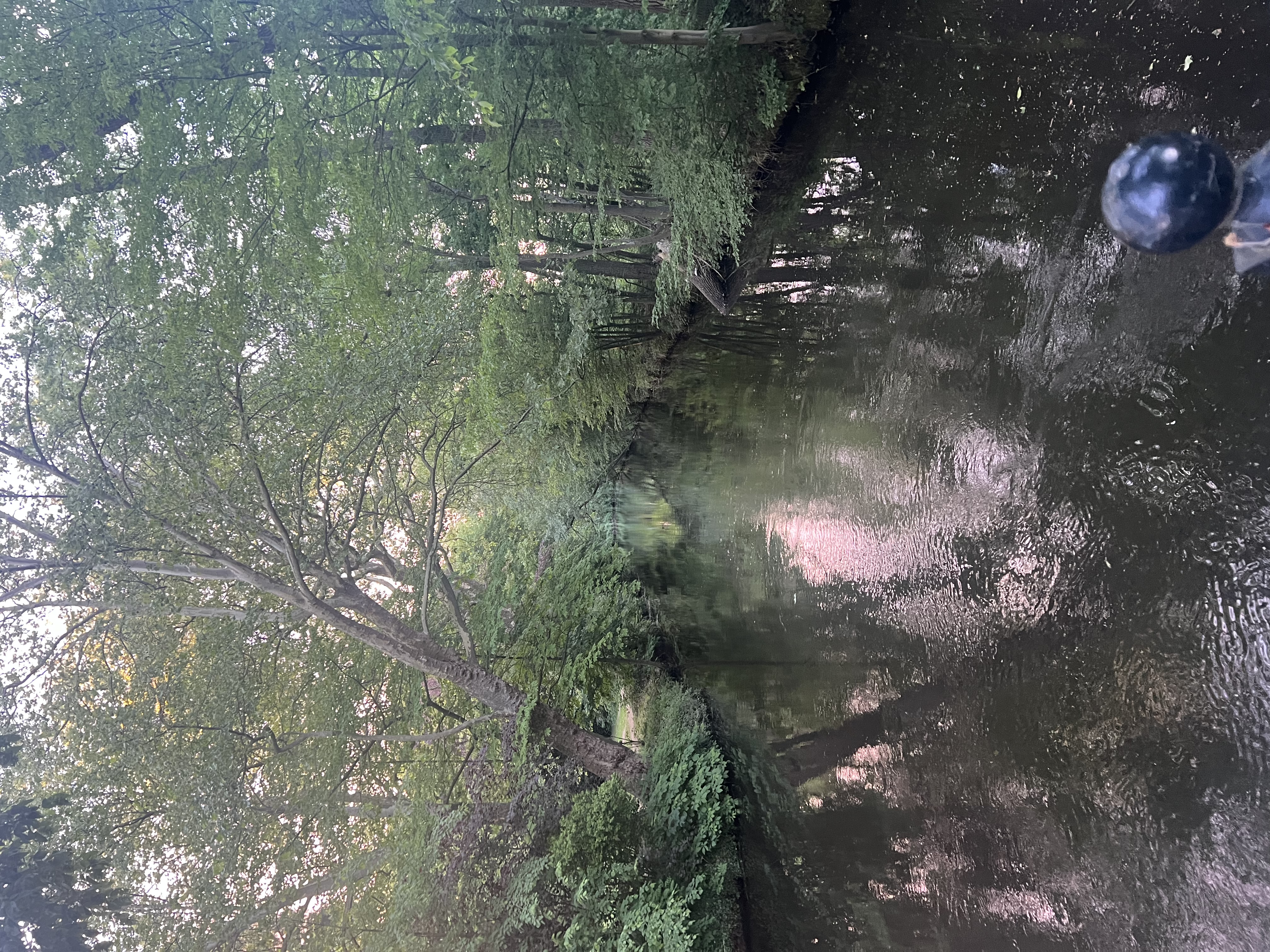 image-16