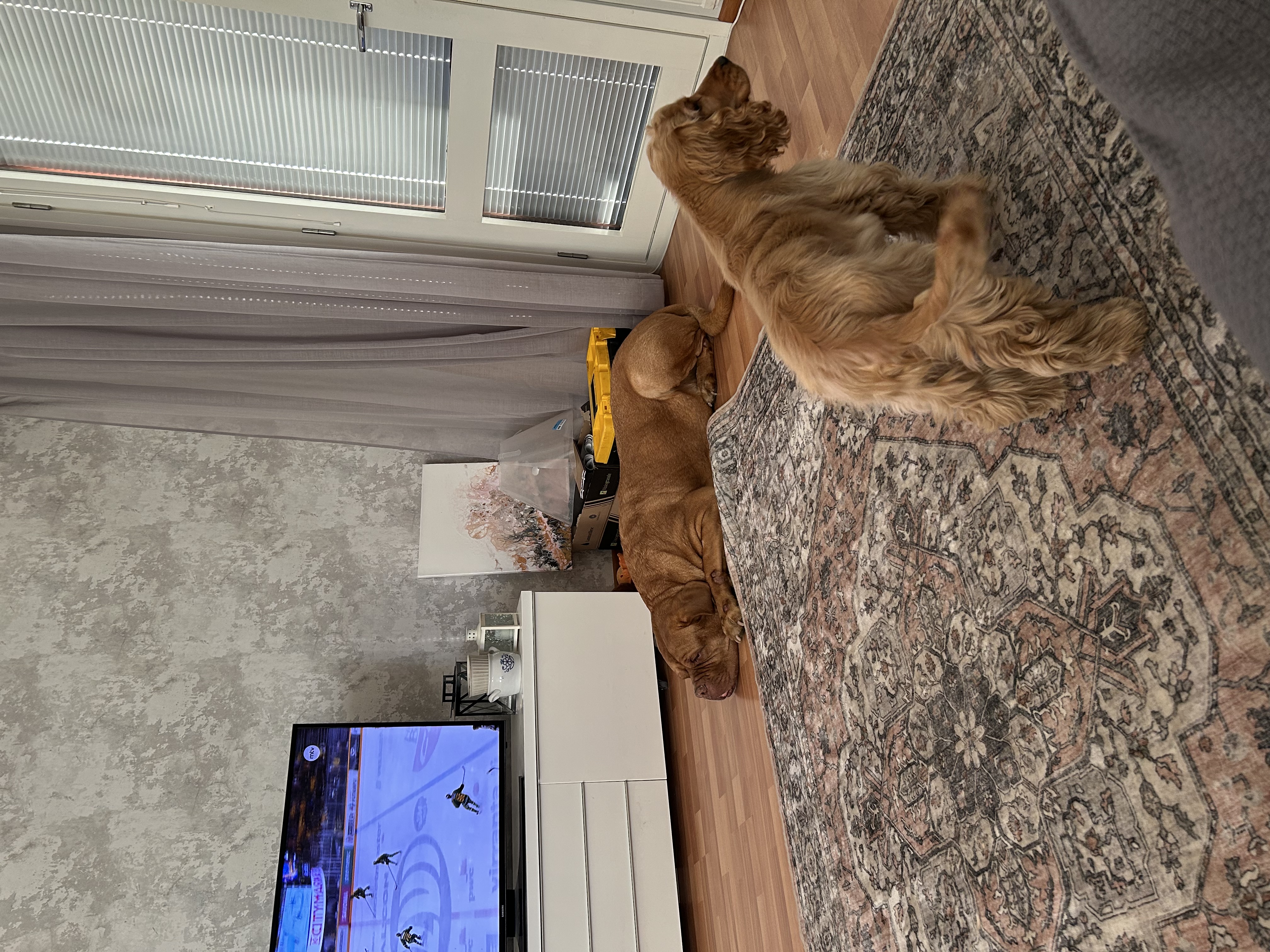 image-14