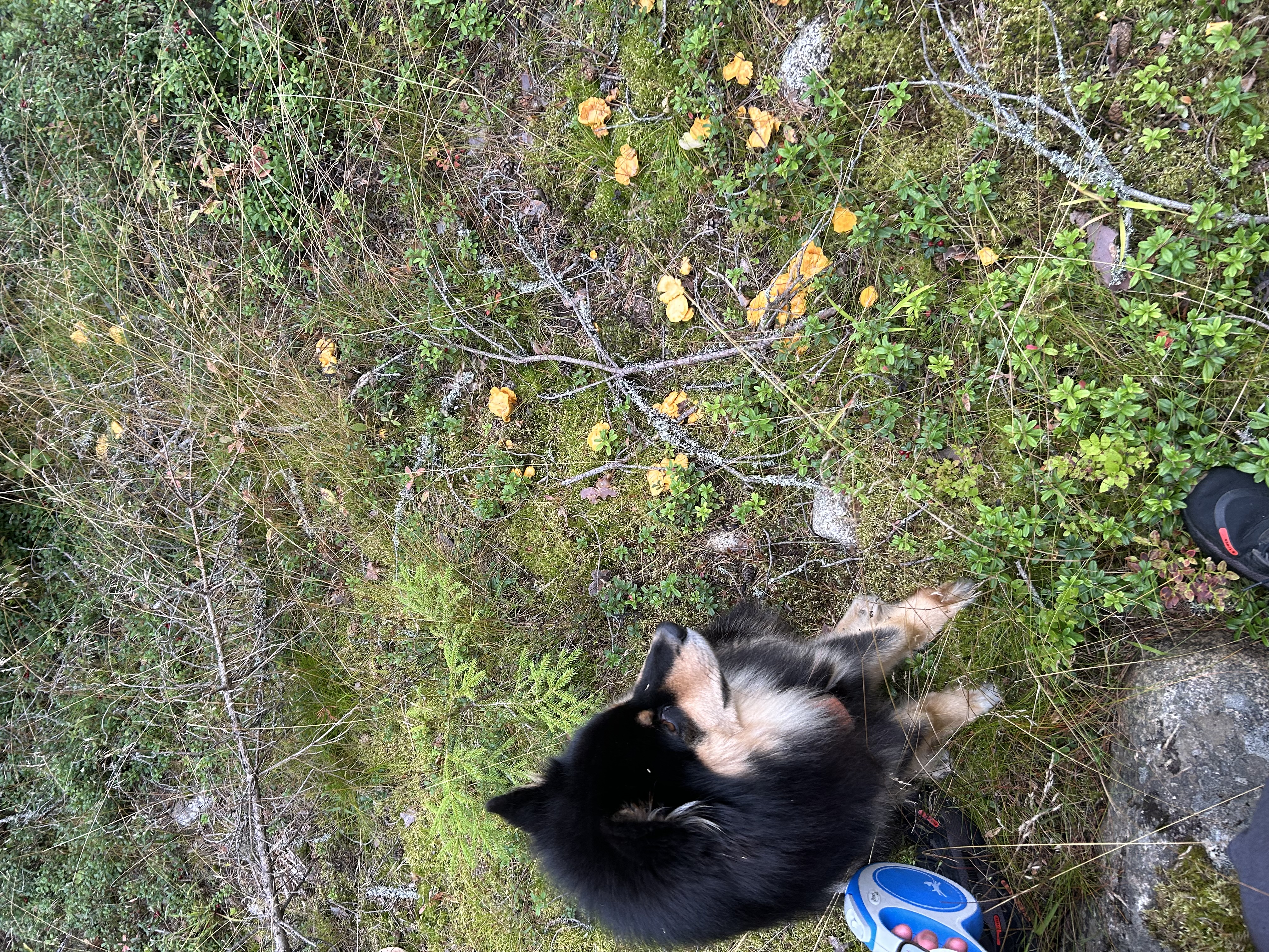 image-16