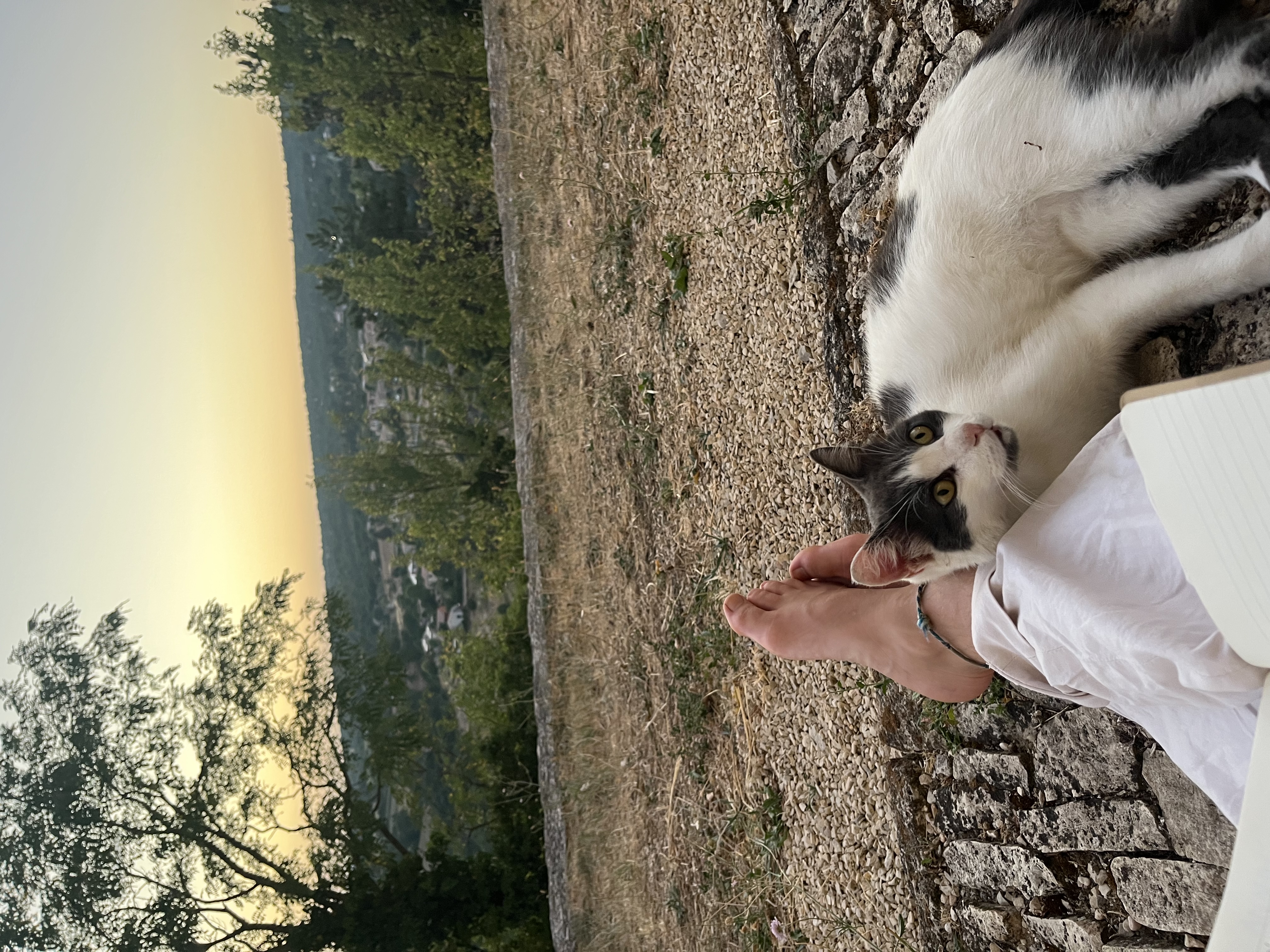 image-7