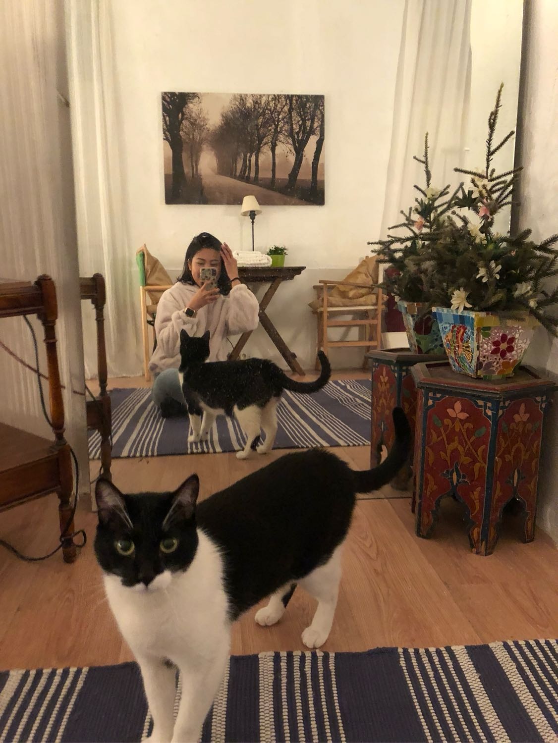 image-13