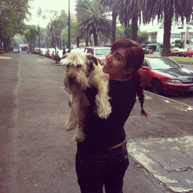 image-8