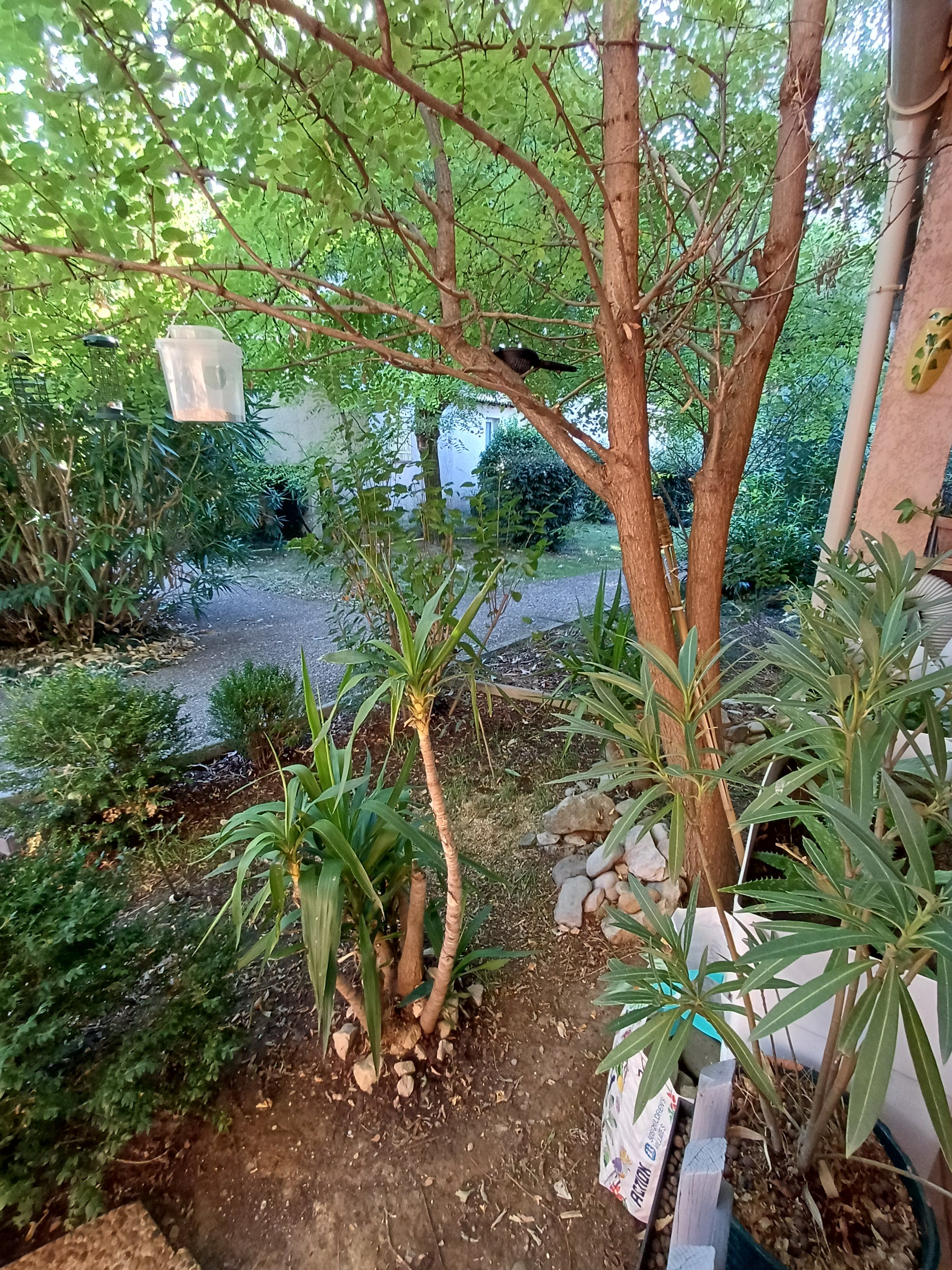 image-19