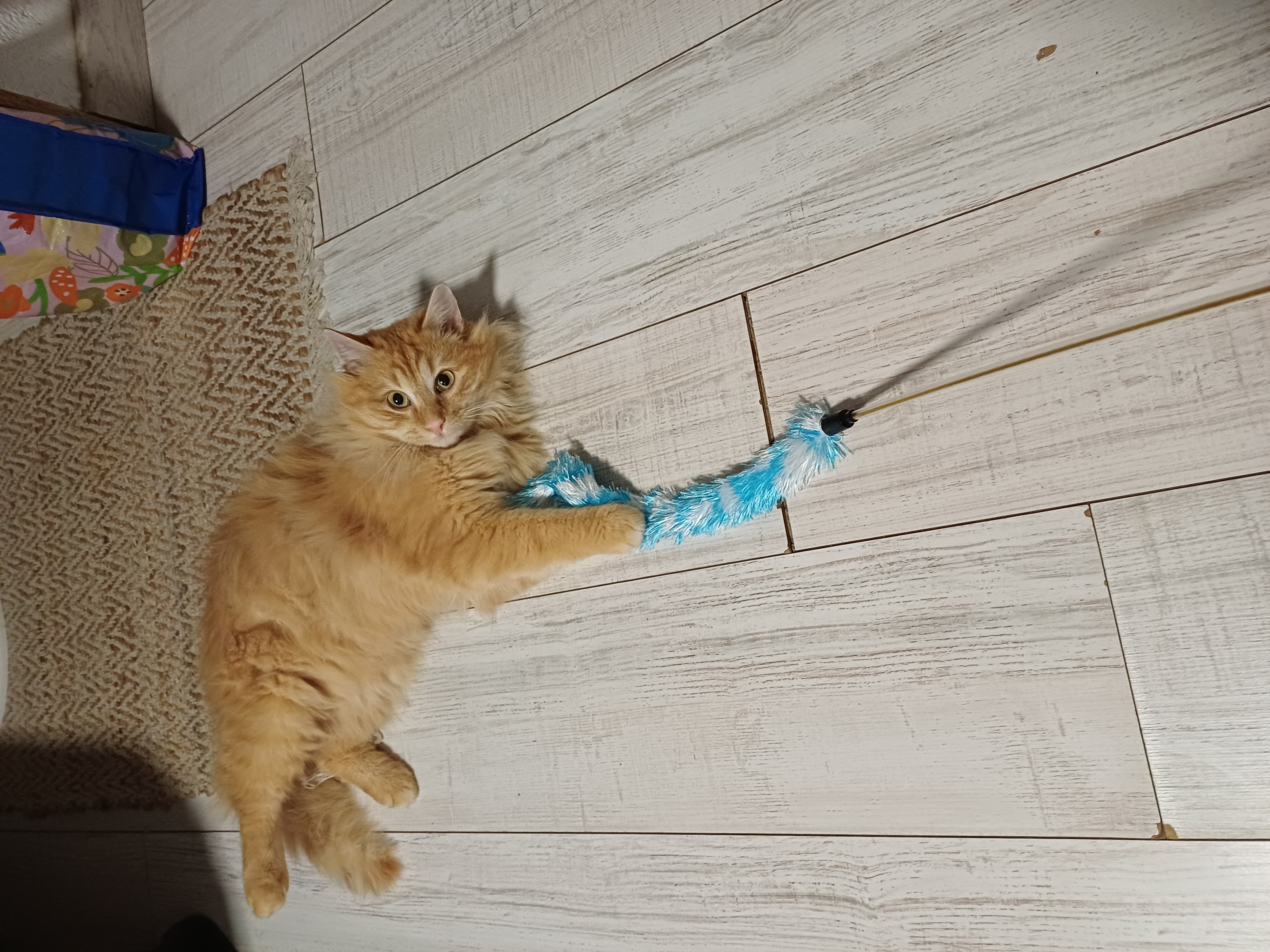 image-7