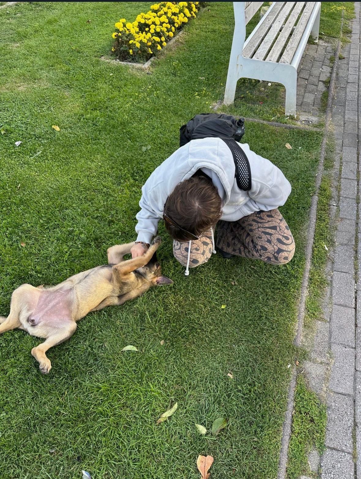 image-5