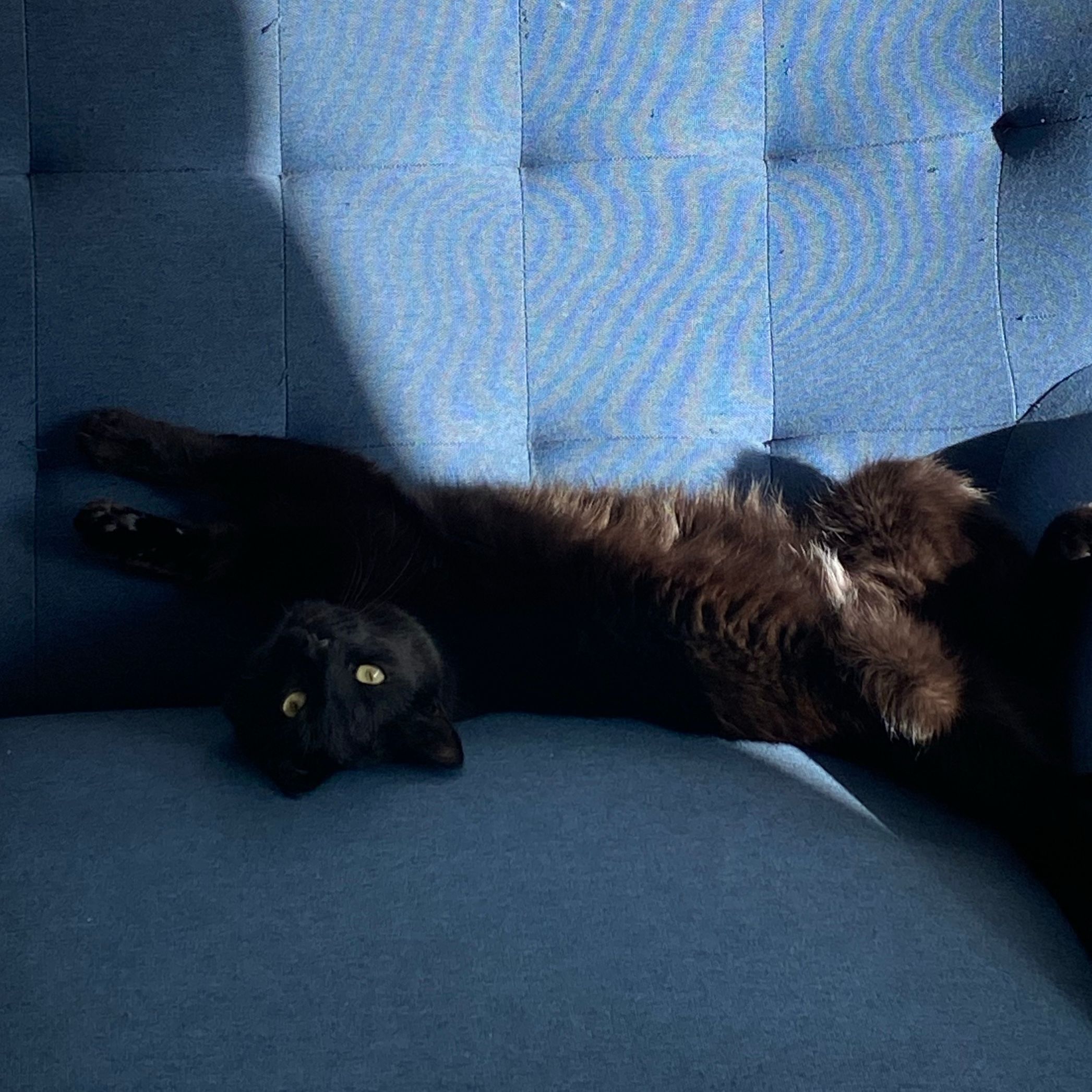 Ragnar