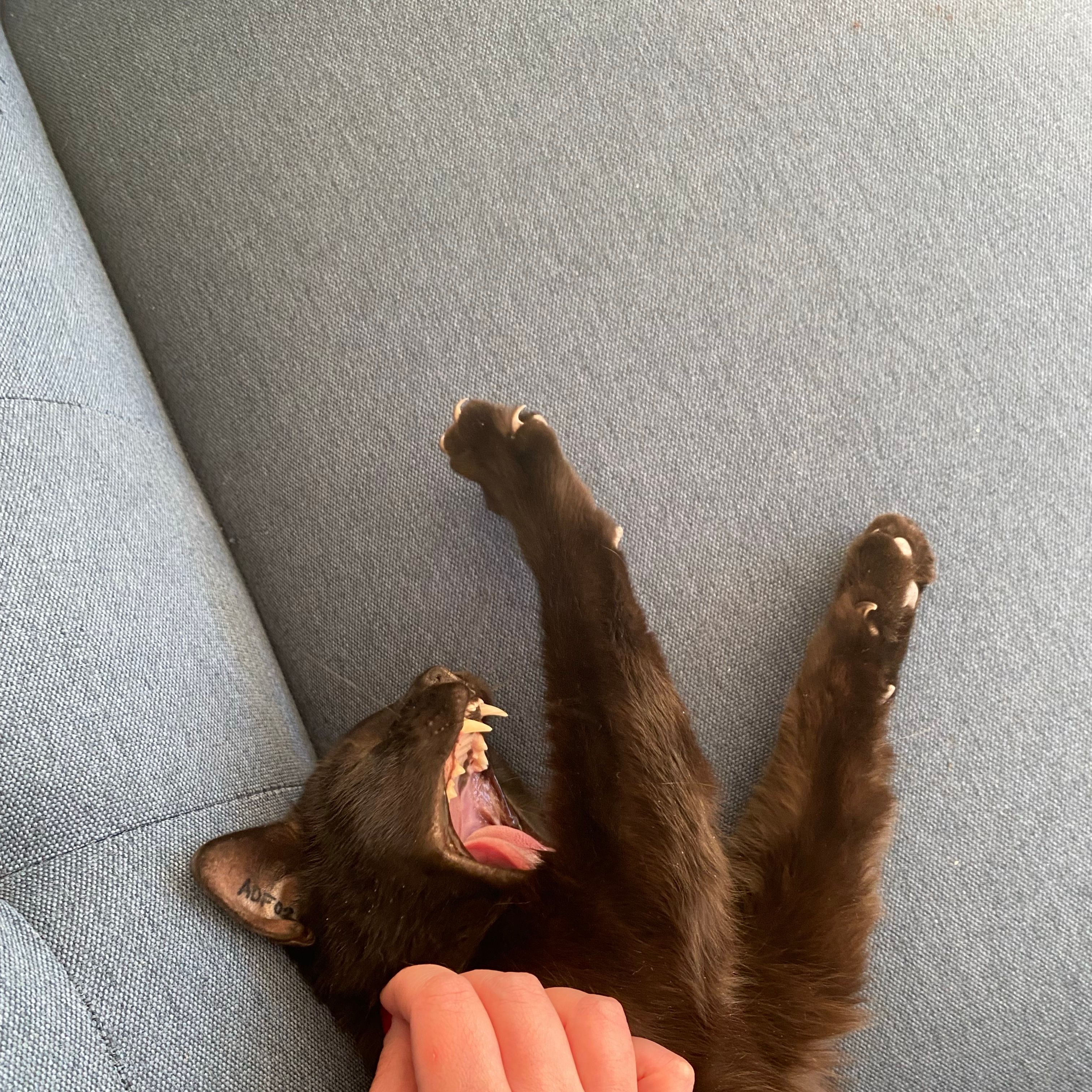 Ragnar