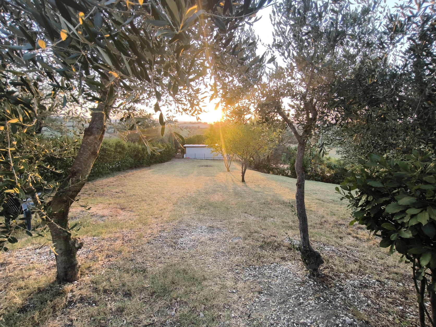 image-11