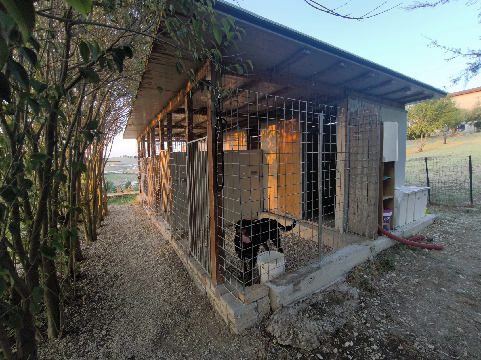 image-9