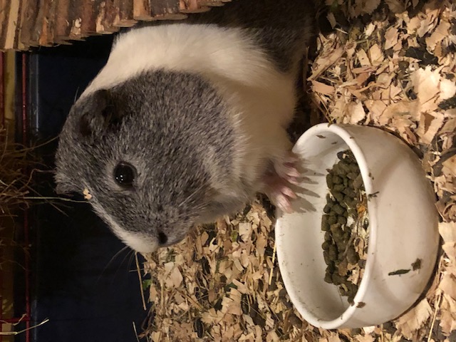 image-22