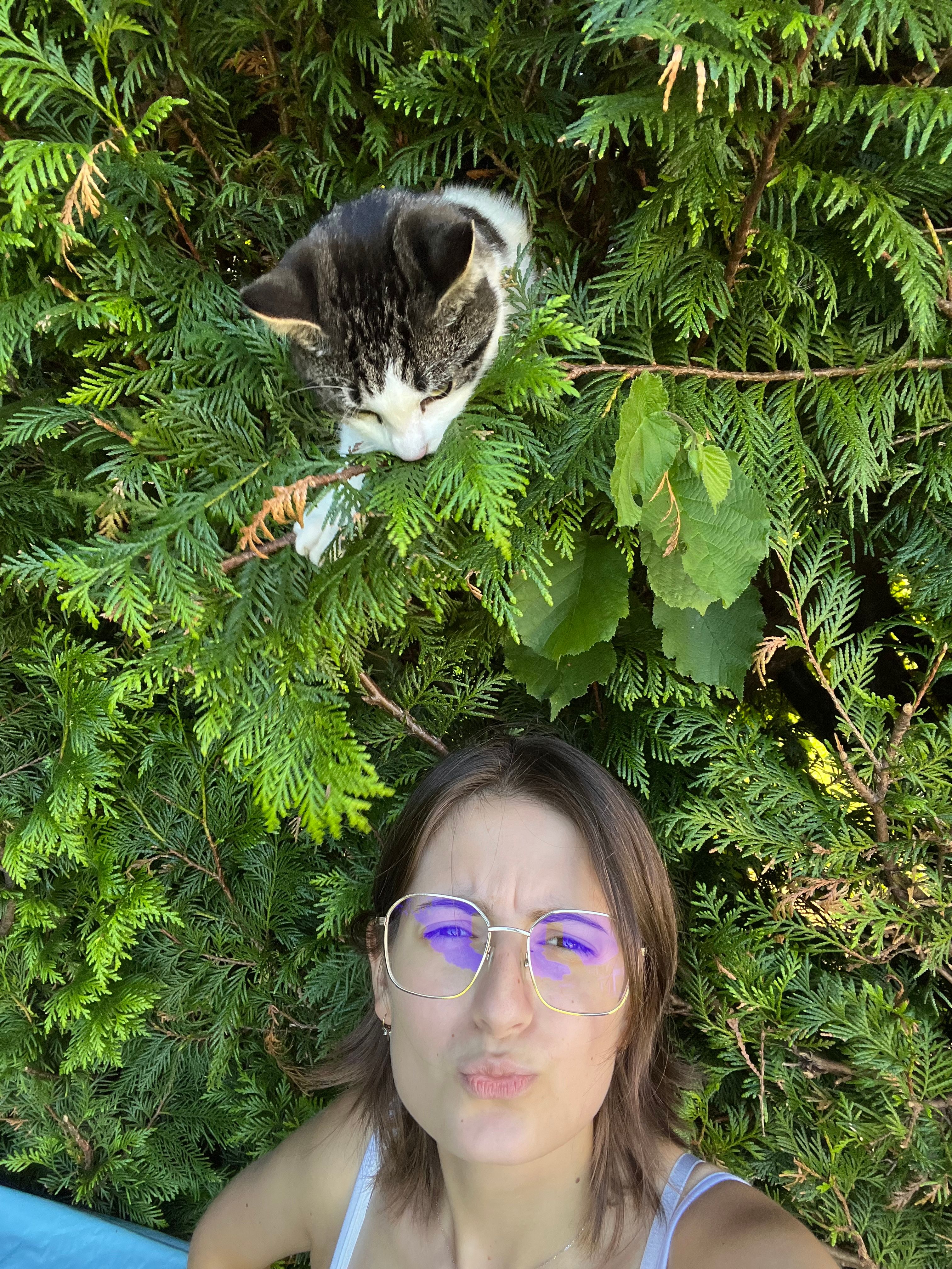 image-6