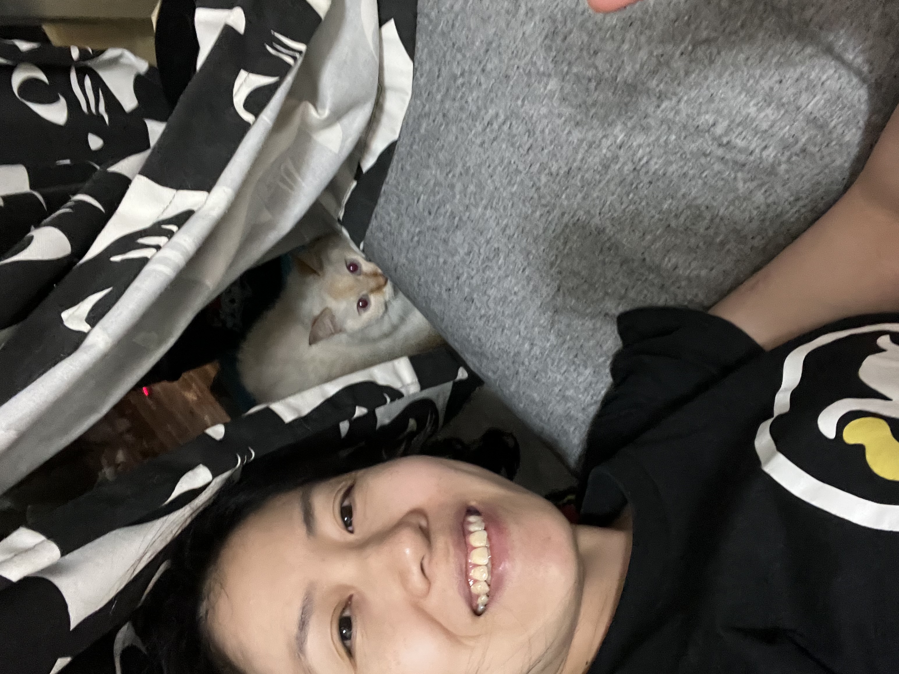 image-8