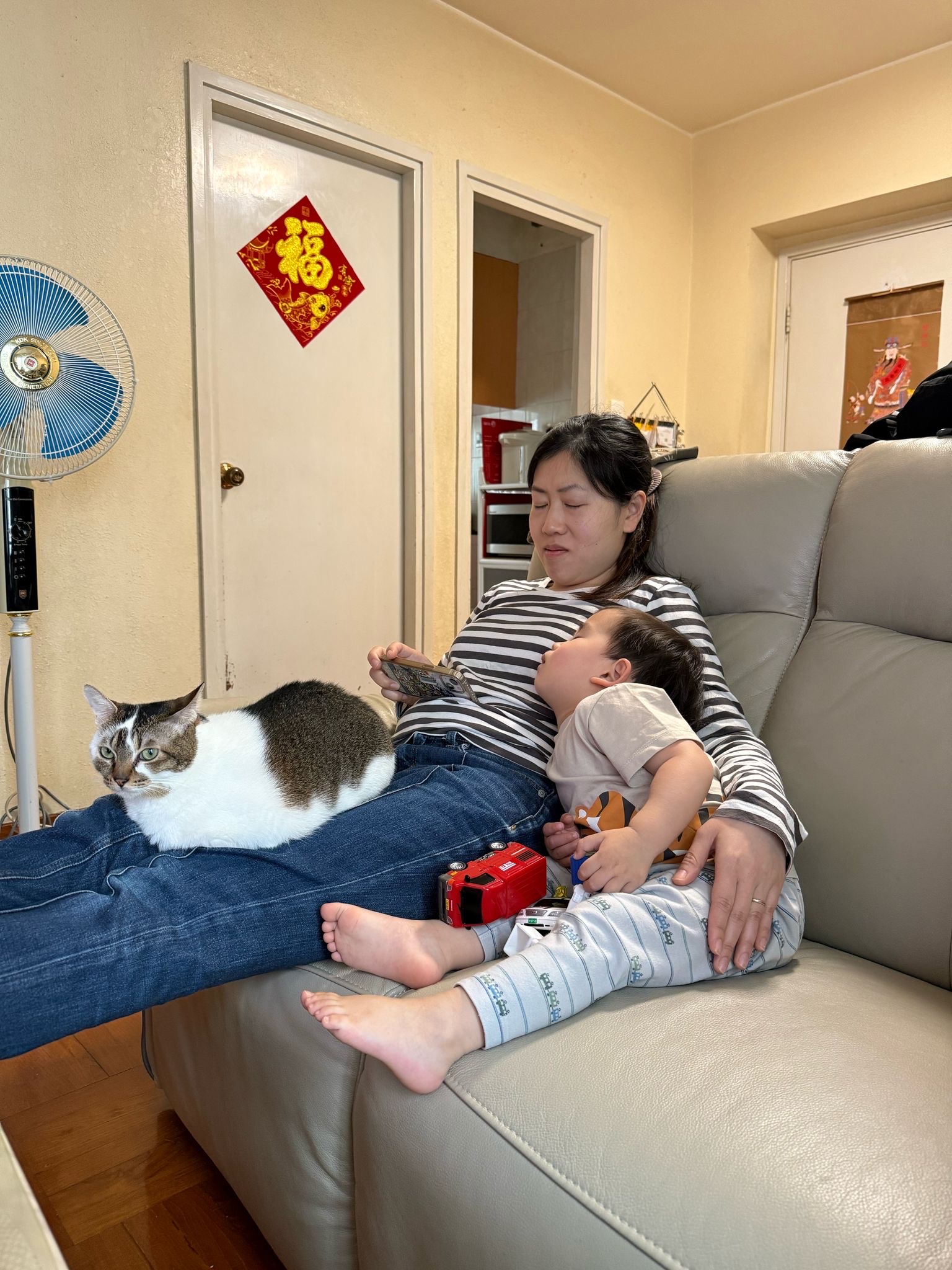 image-6
