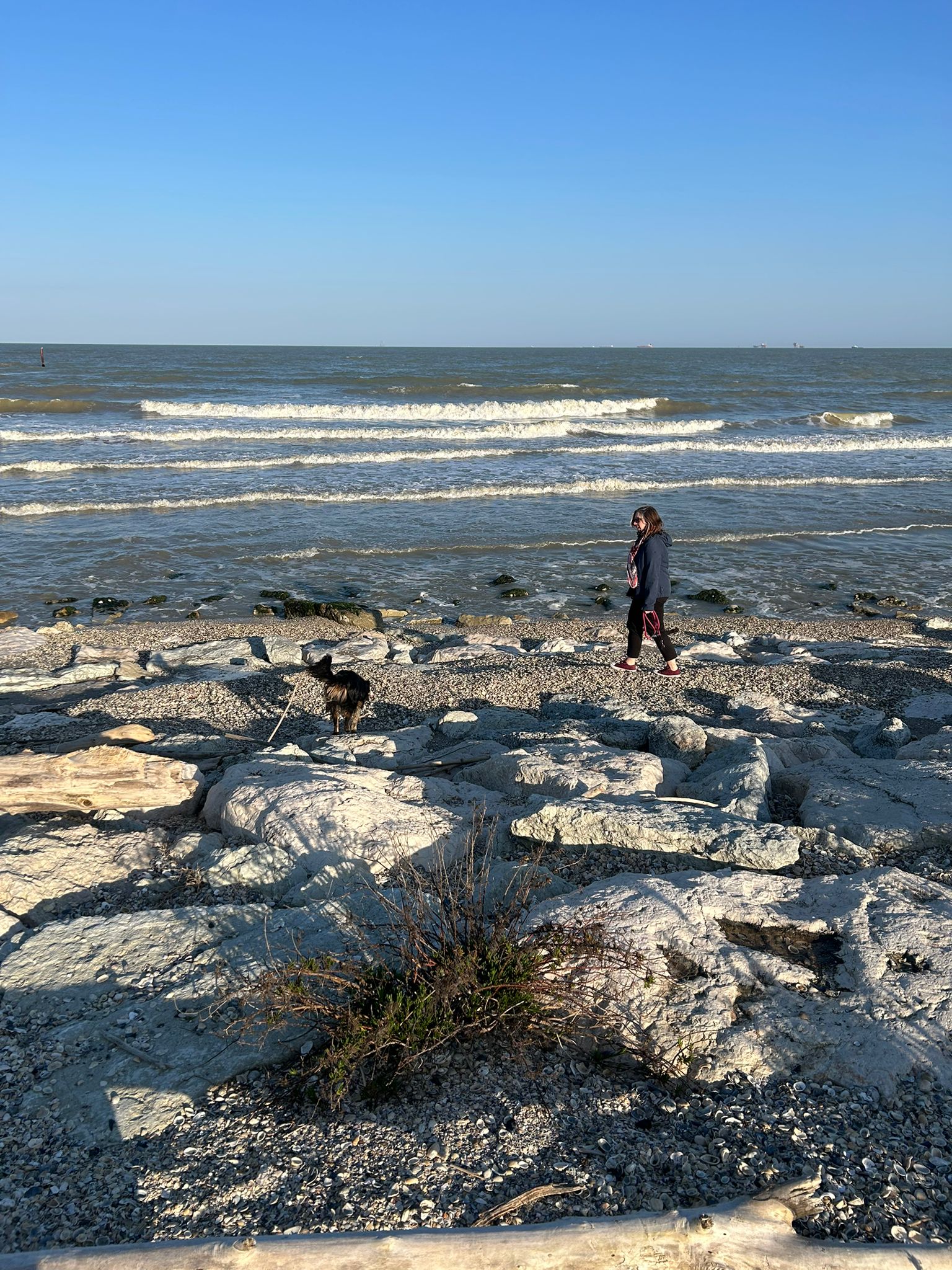 image-14