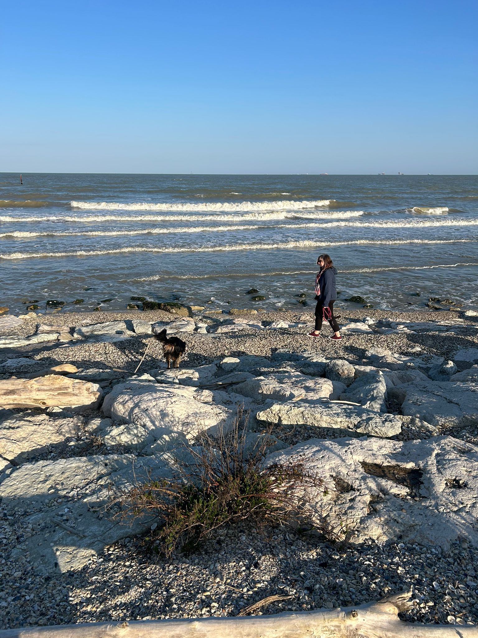 image-14