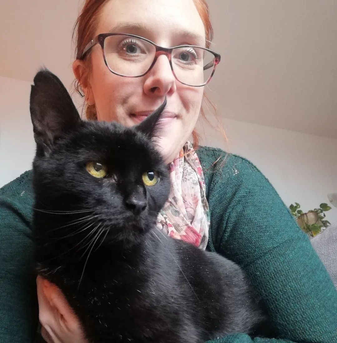 image-6