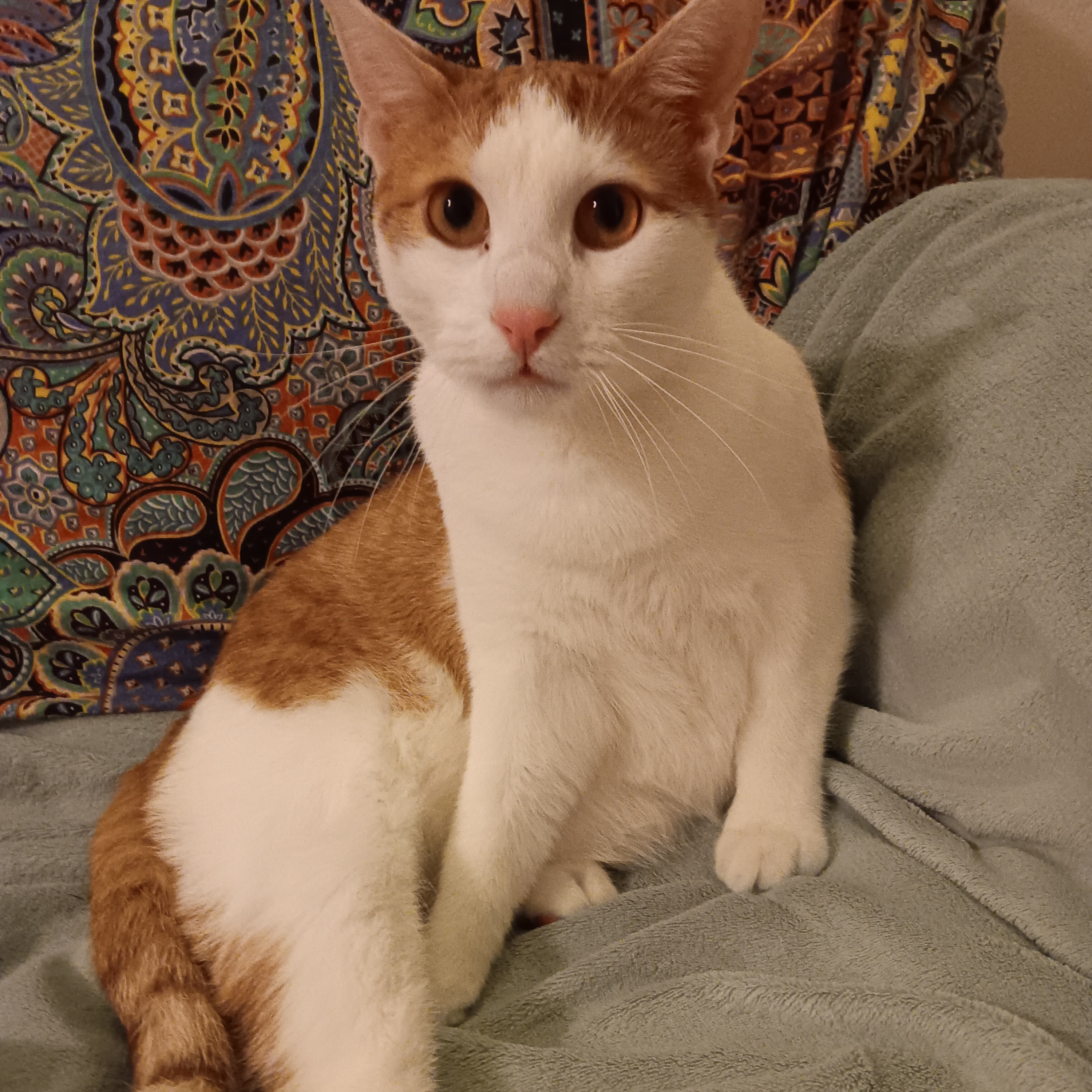 Sergio