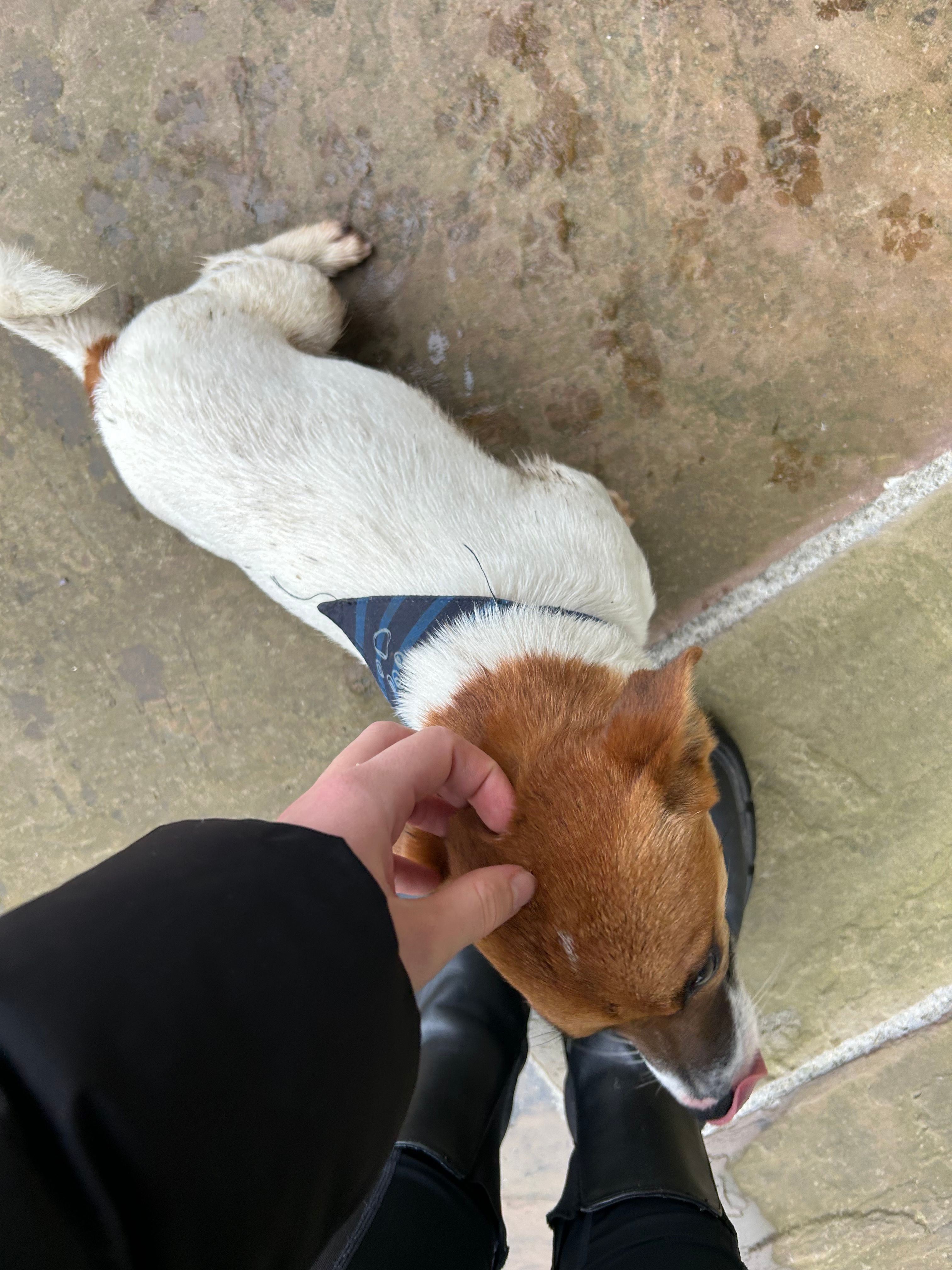 image-11