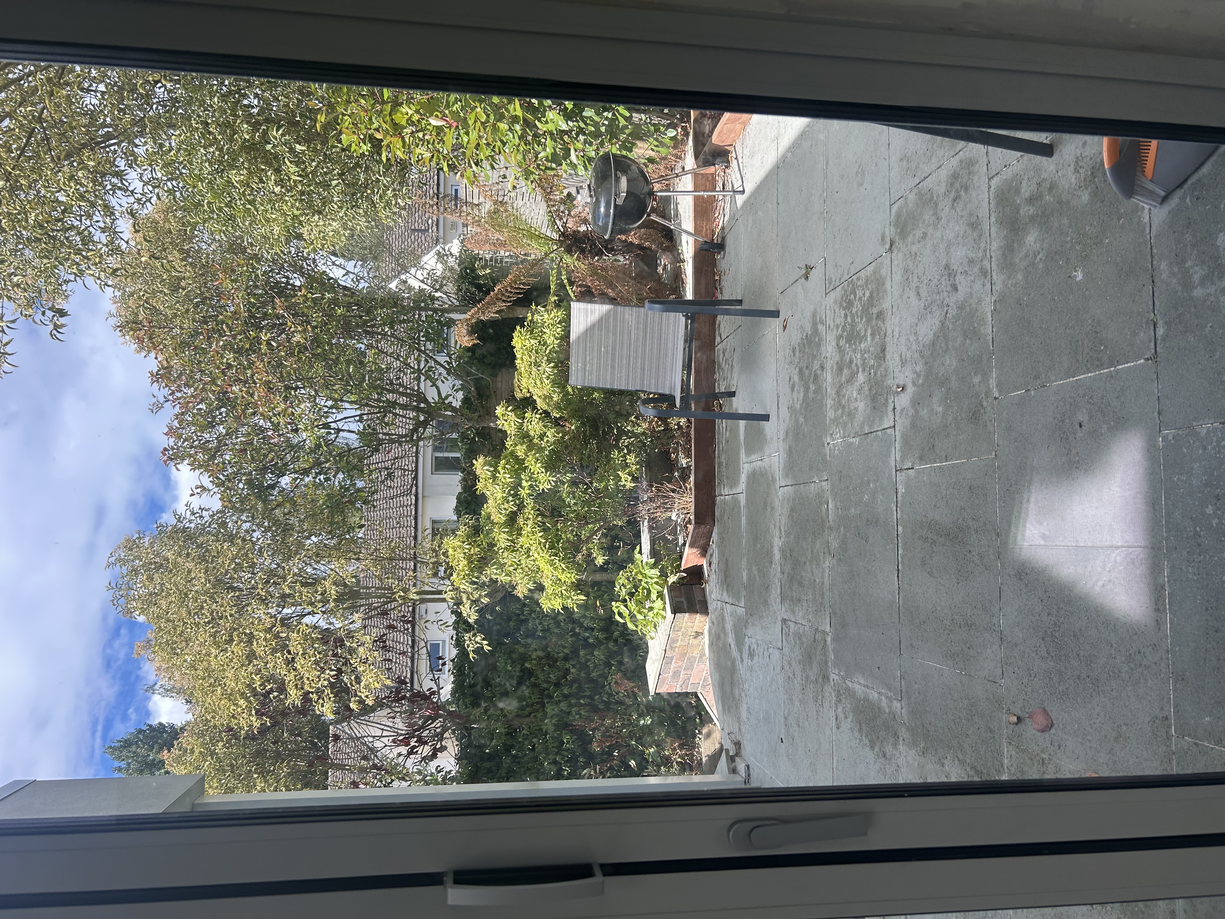 image-19