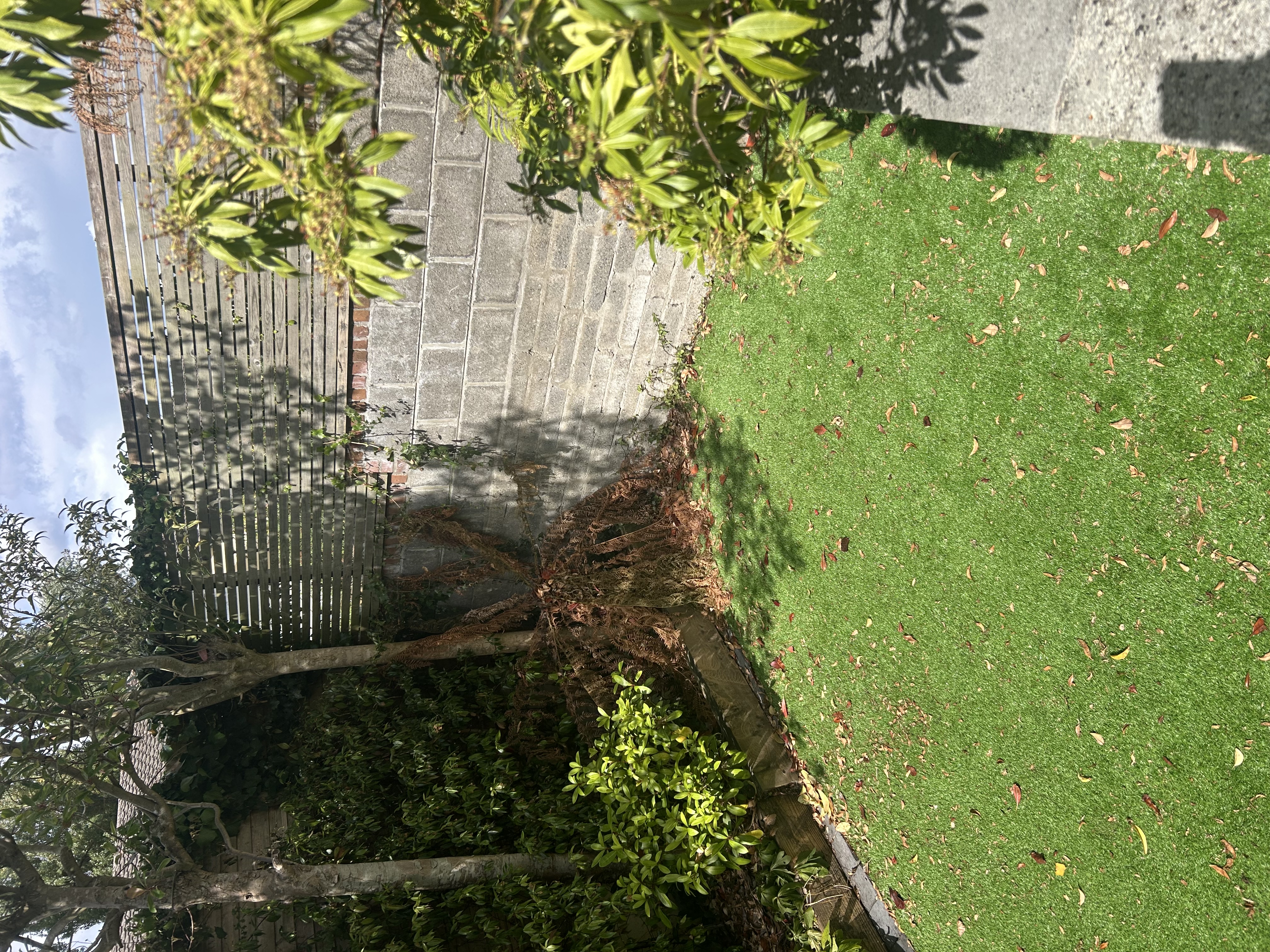 image-20