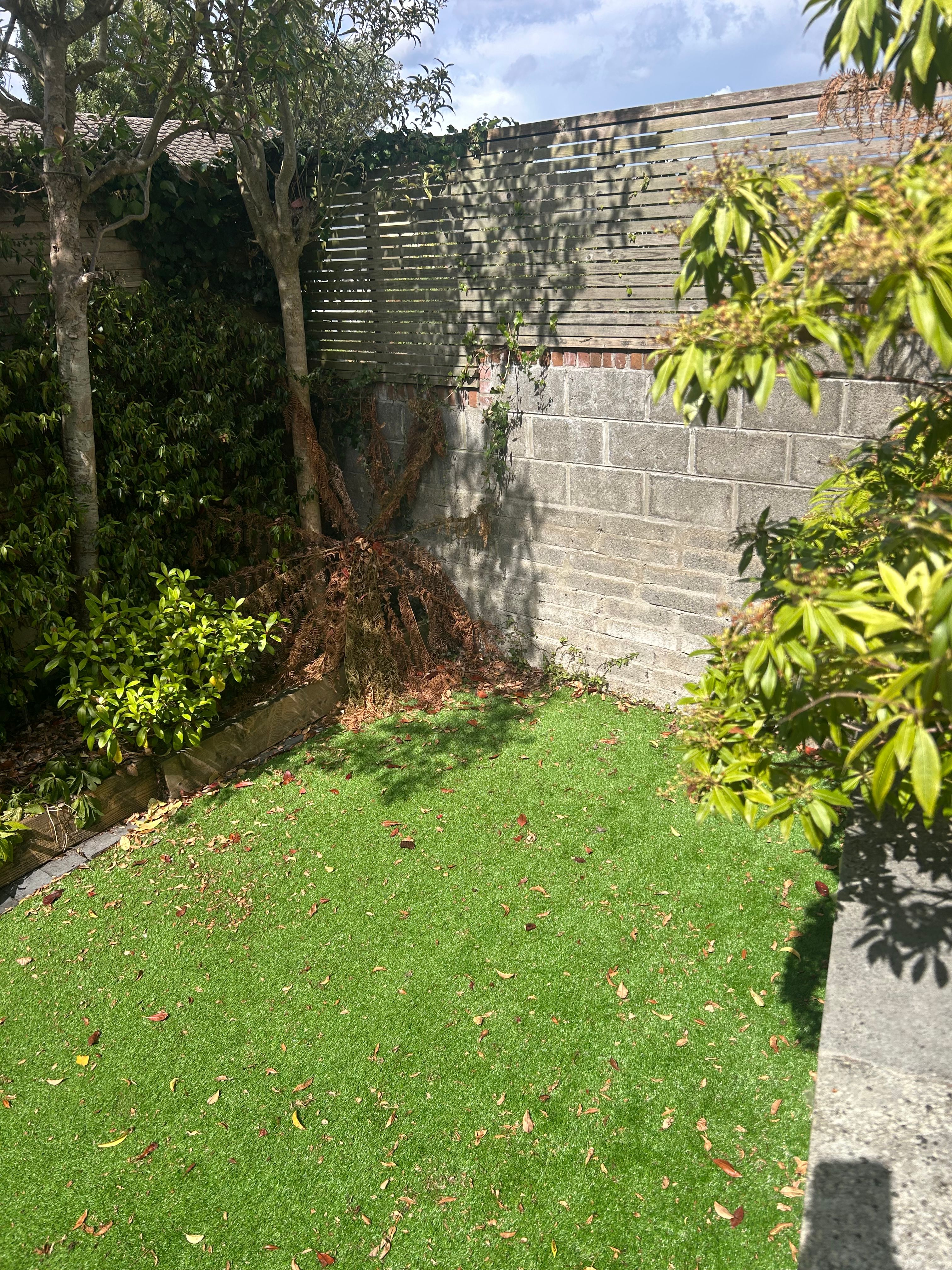 image-20