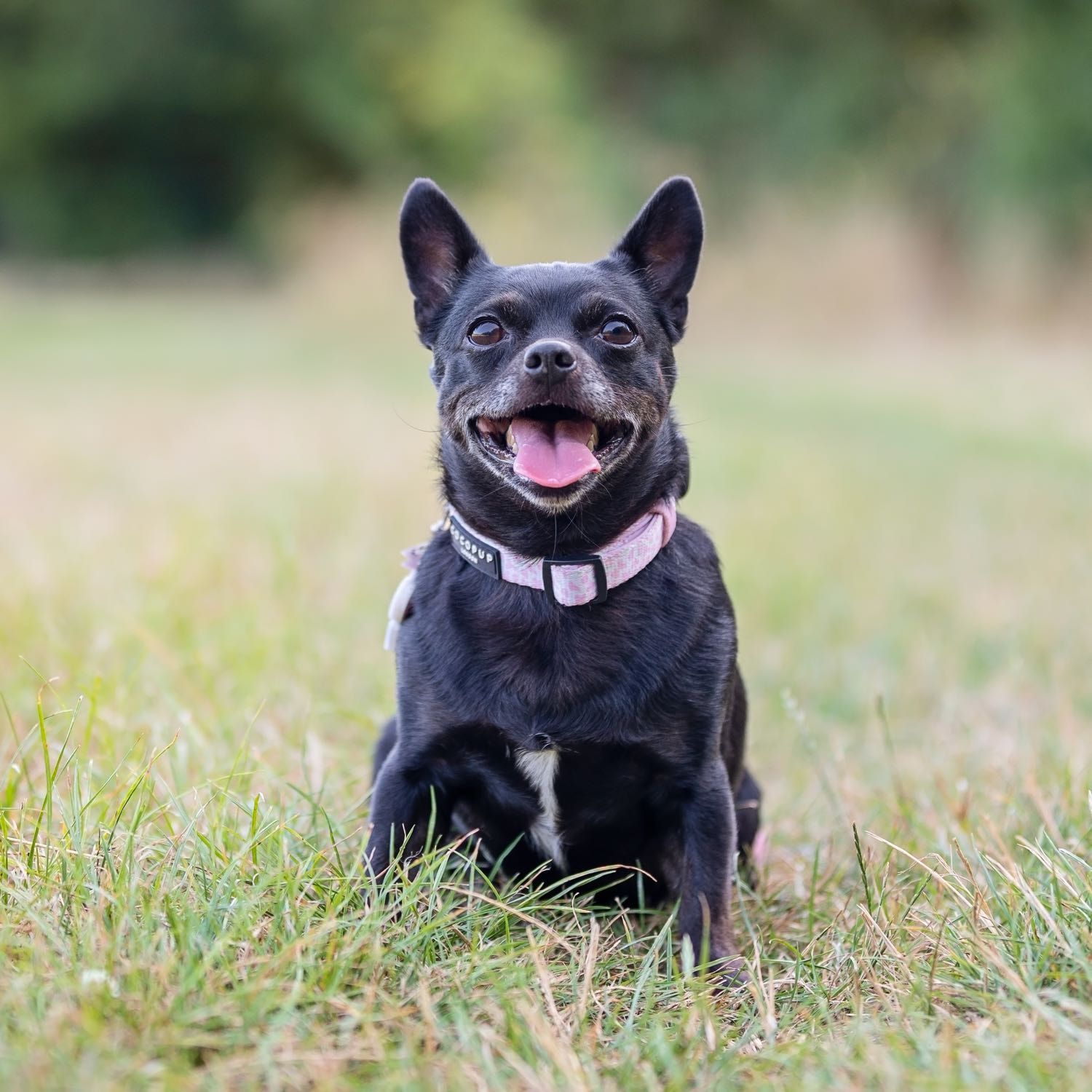 Prue