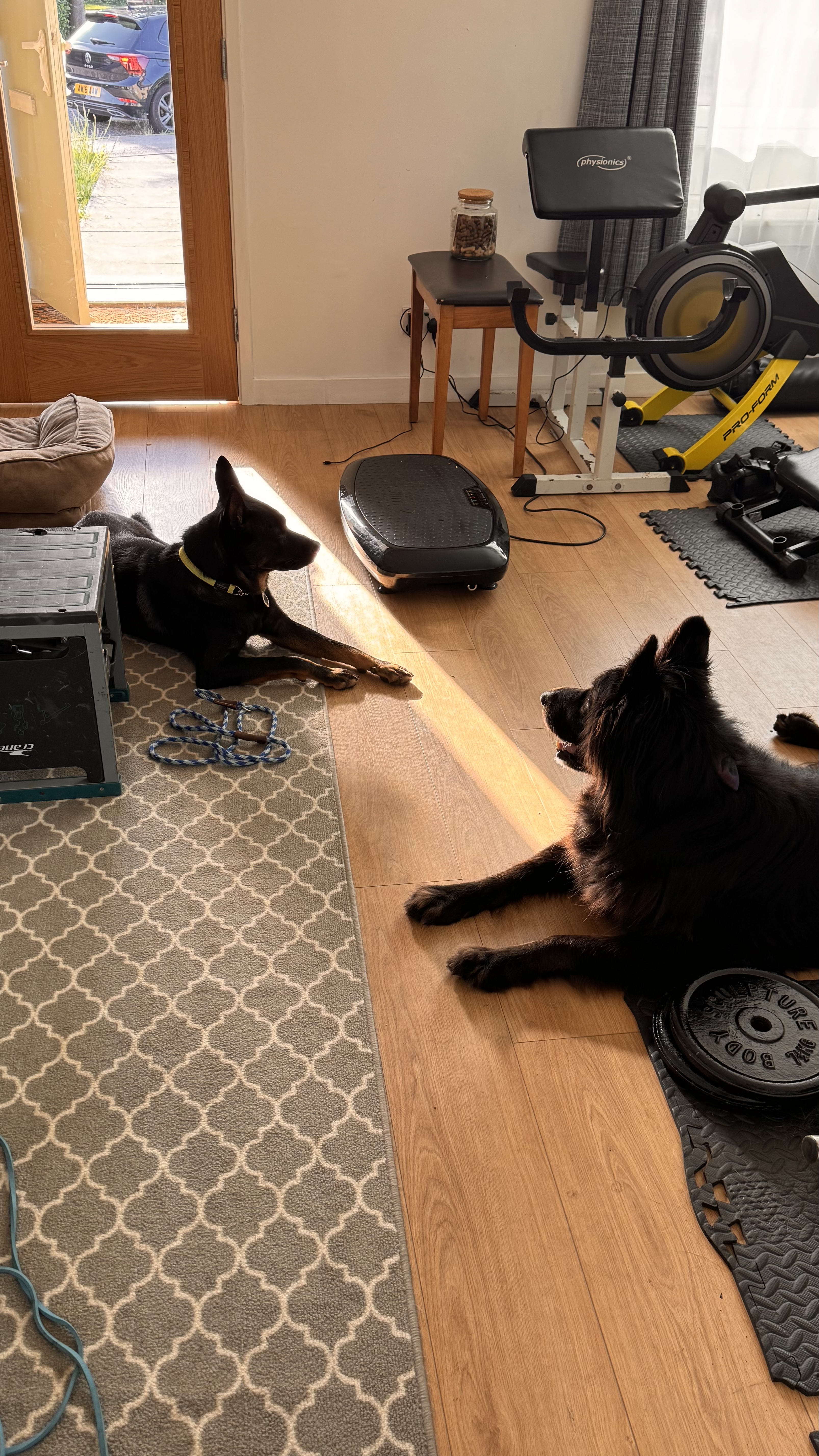 image-9