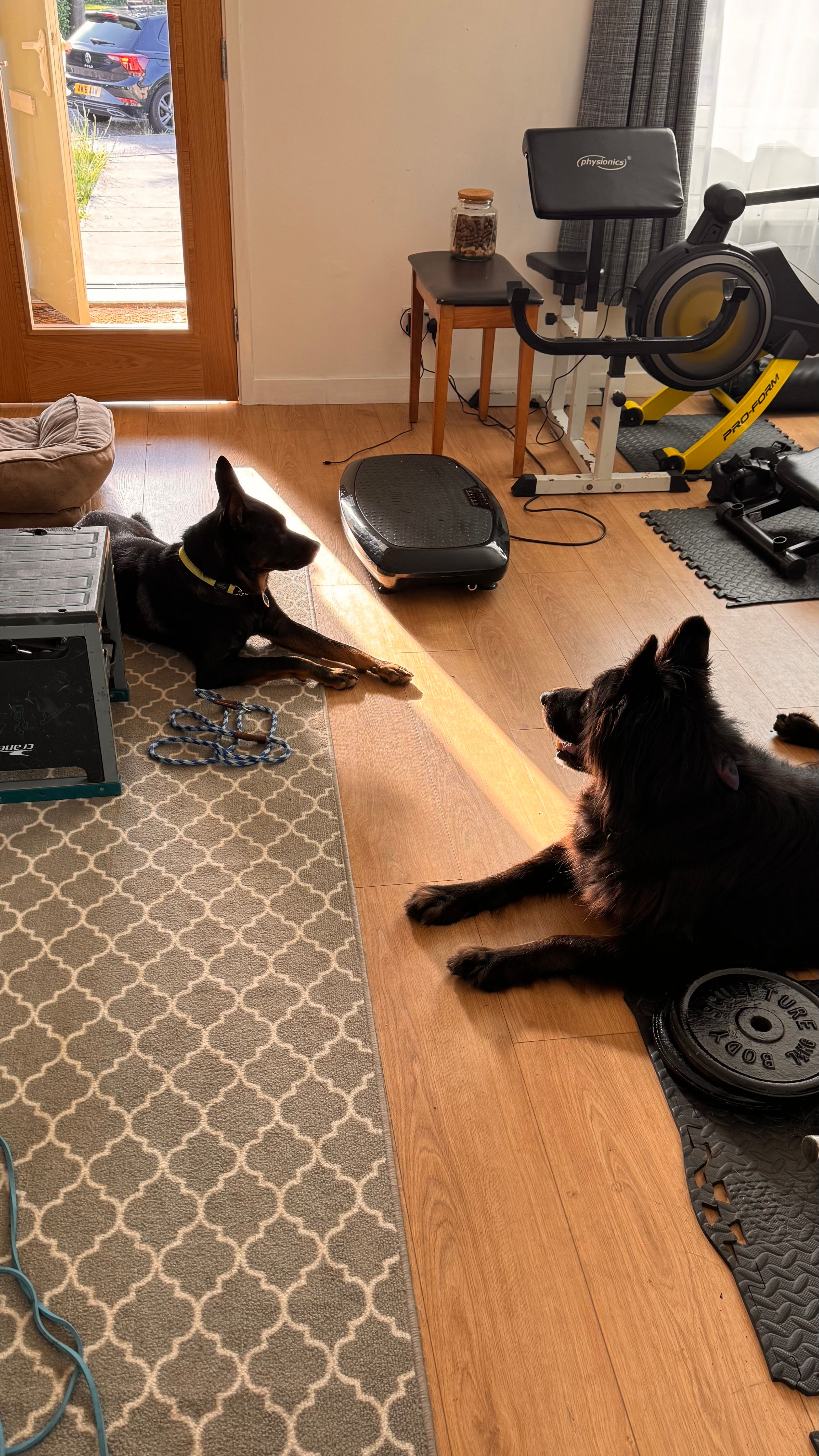 image-9