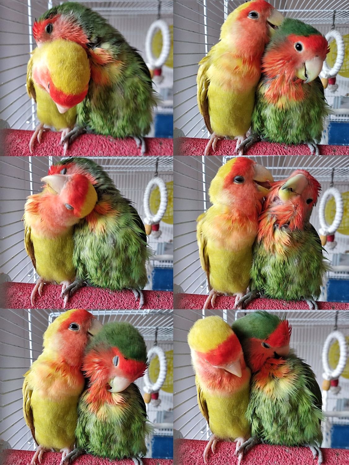 image-7