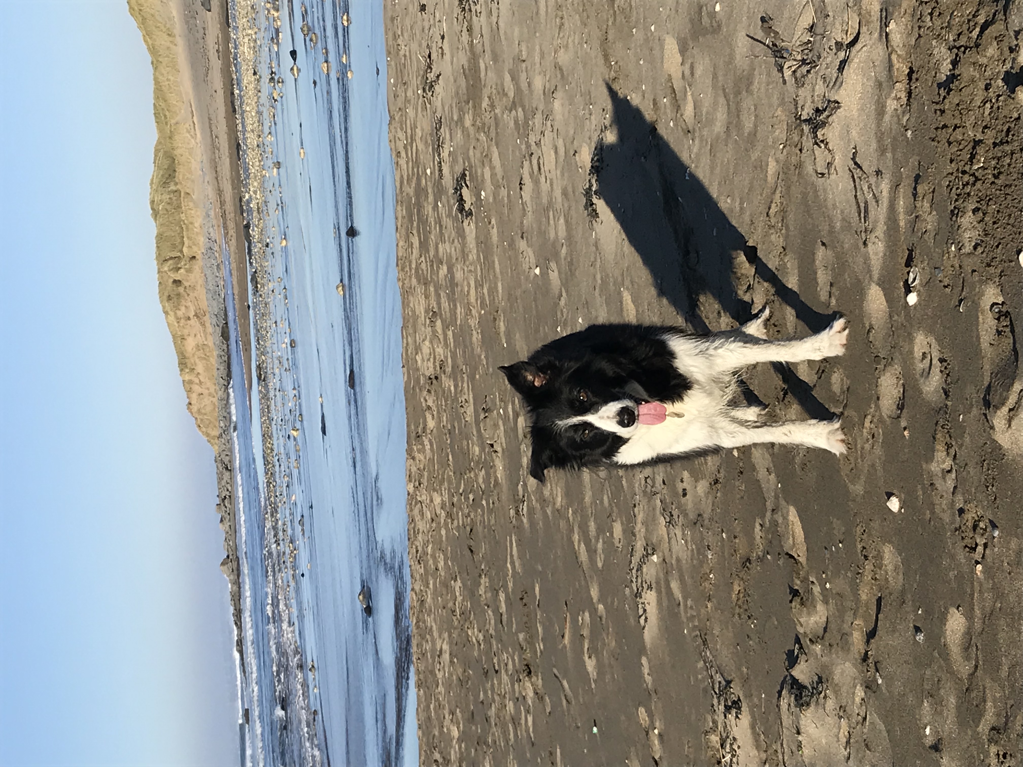 image-8