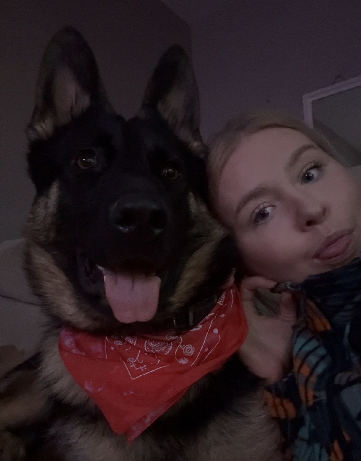 image-7