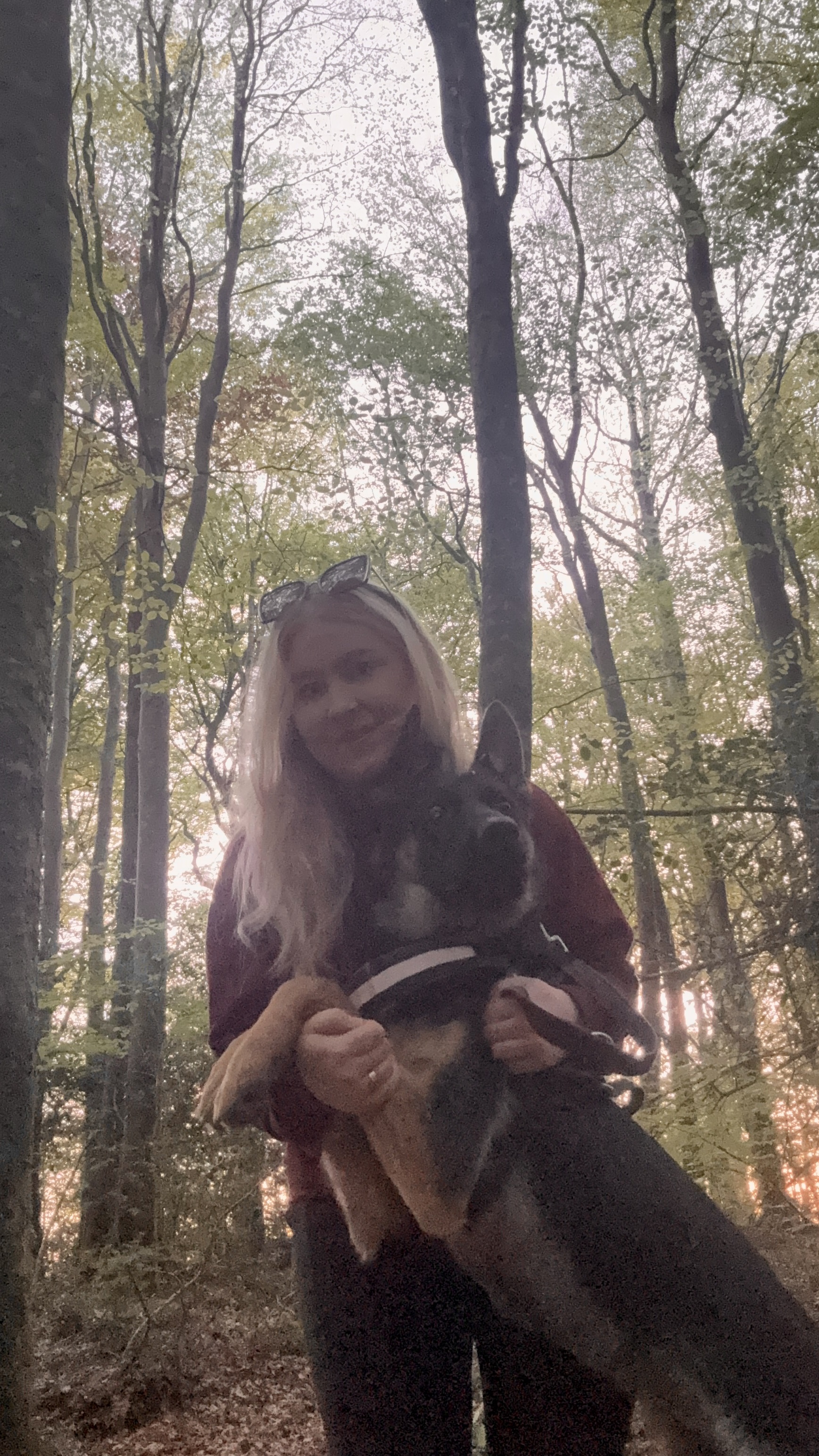 image-6