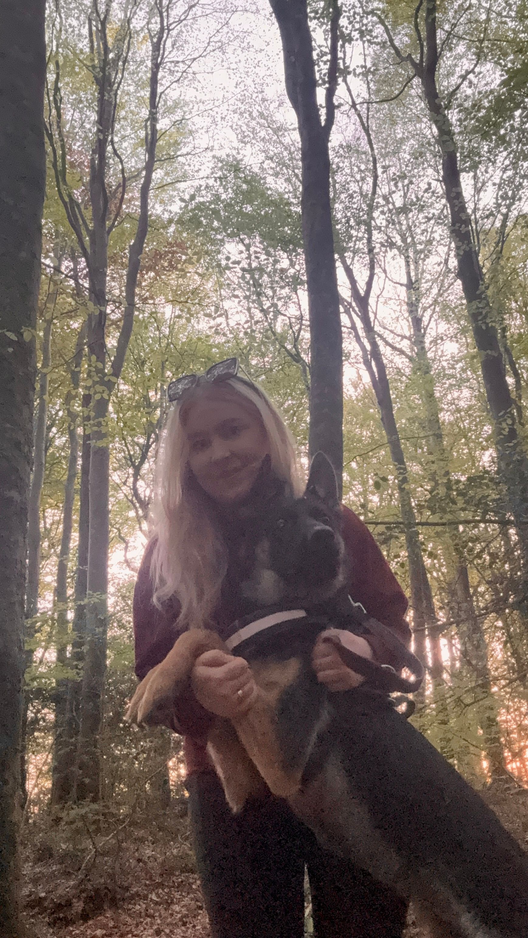 image-6