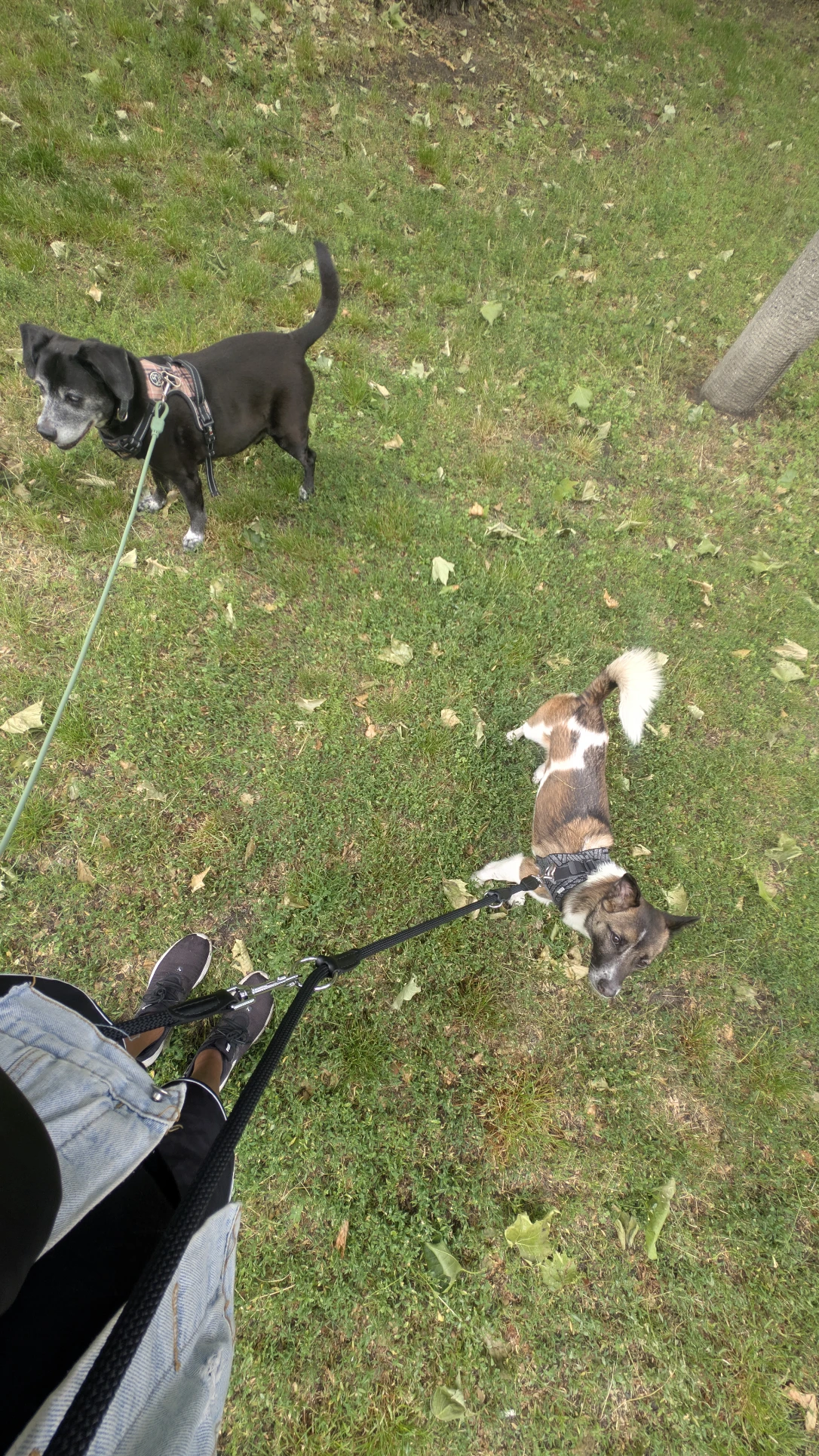 image-14