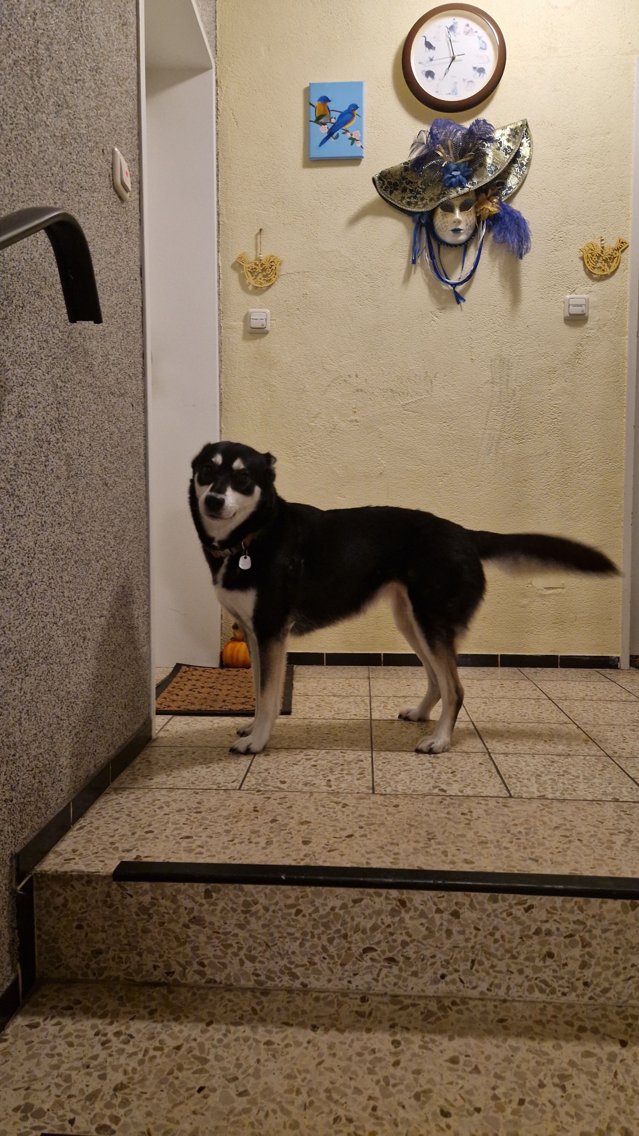 image-18