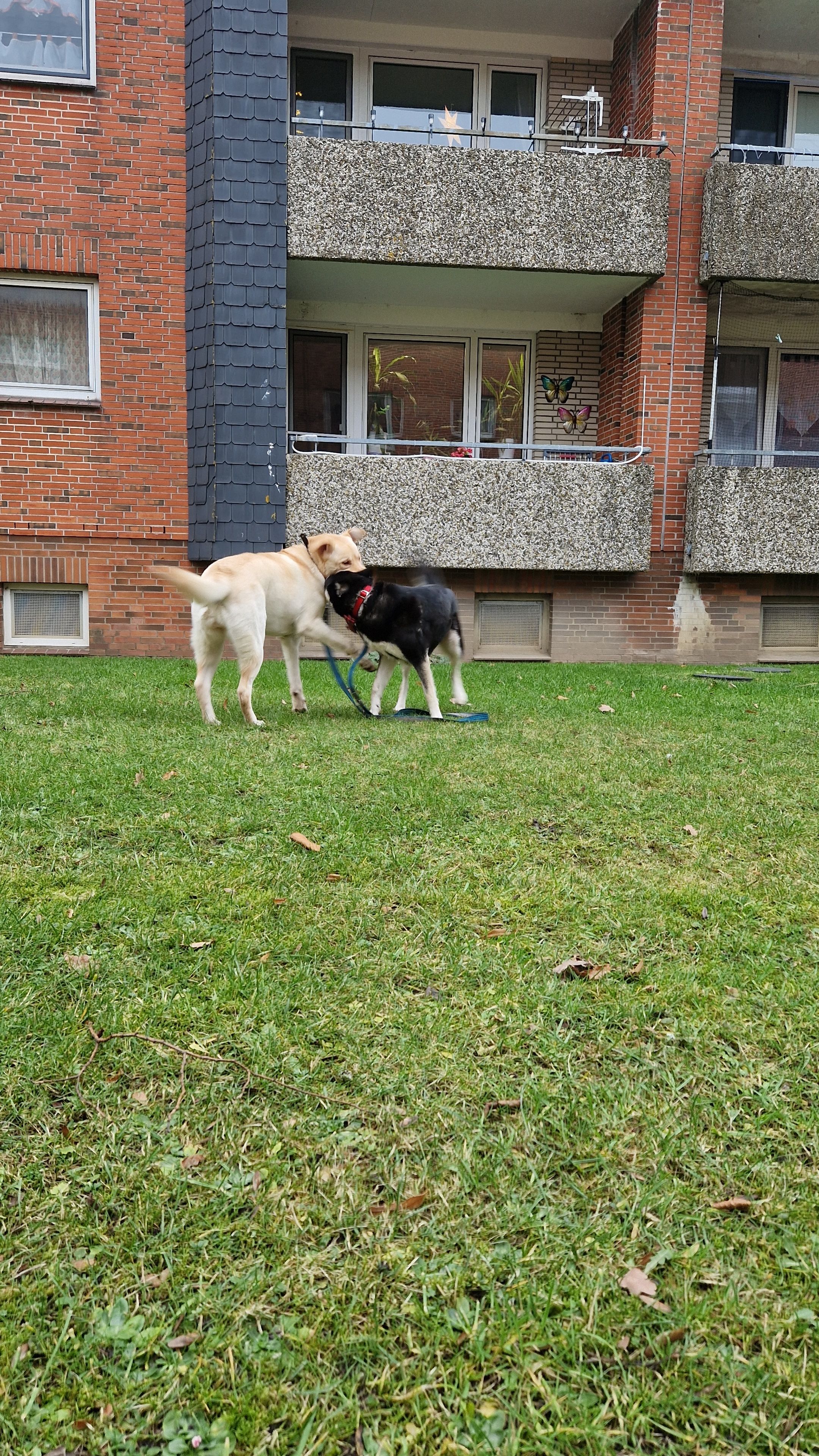 image-14