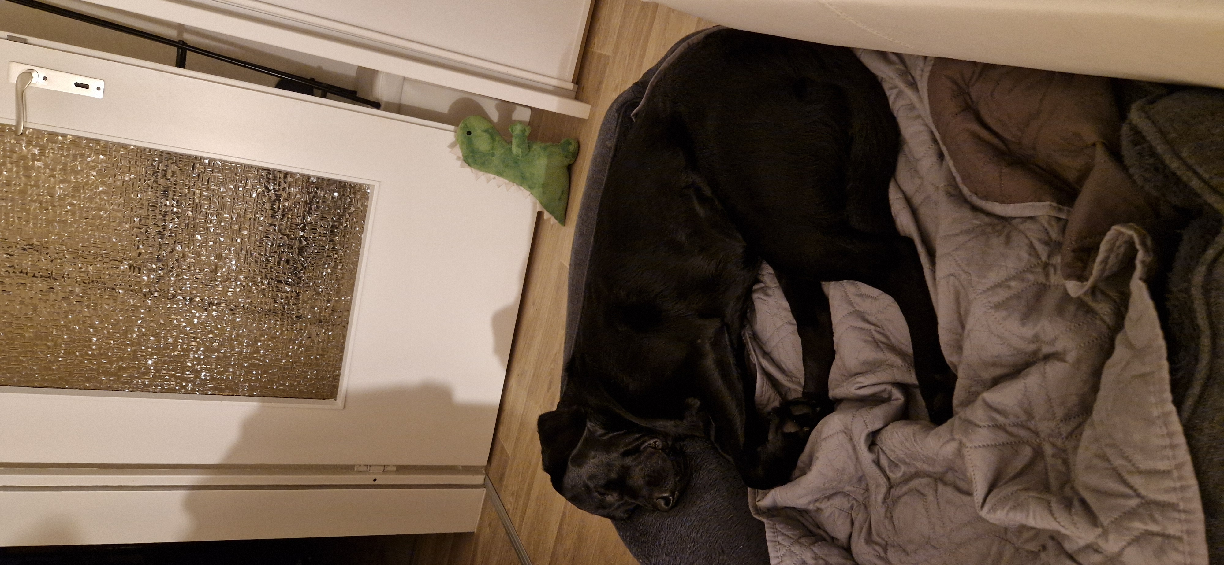 image-7