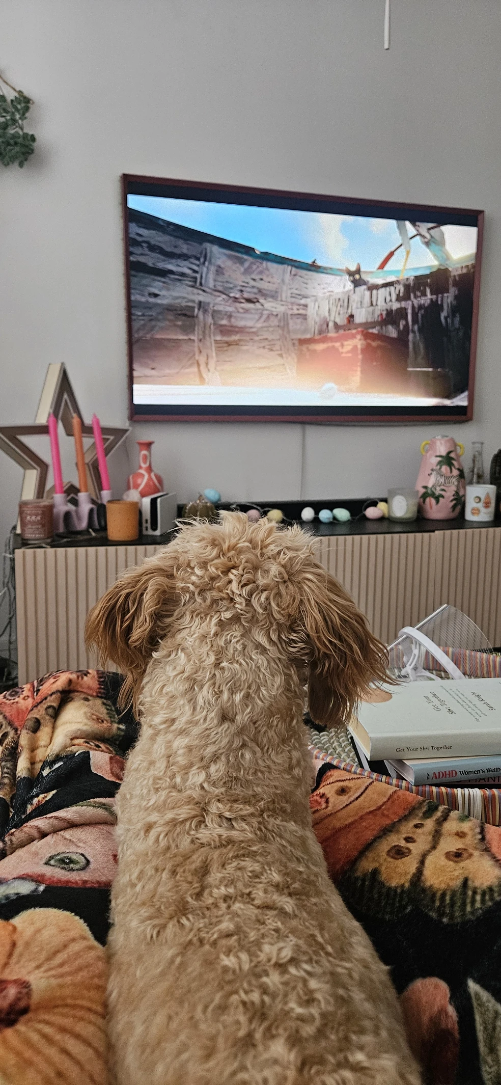 image-9