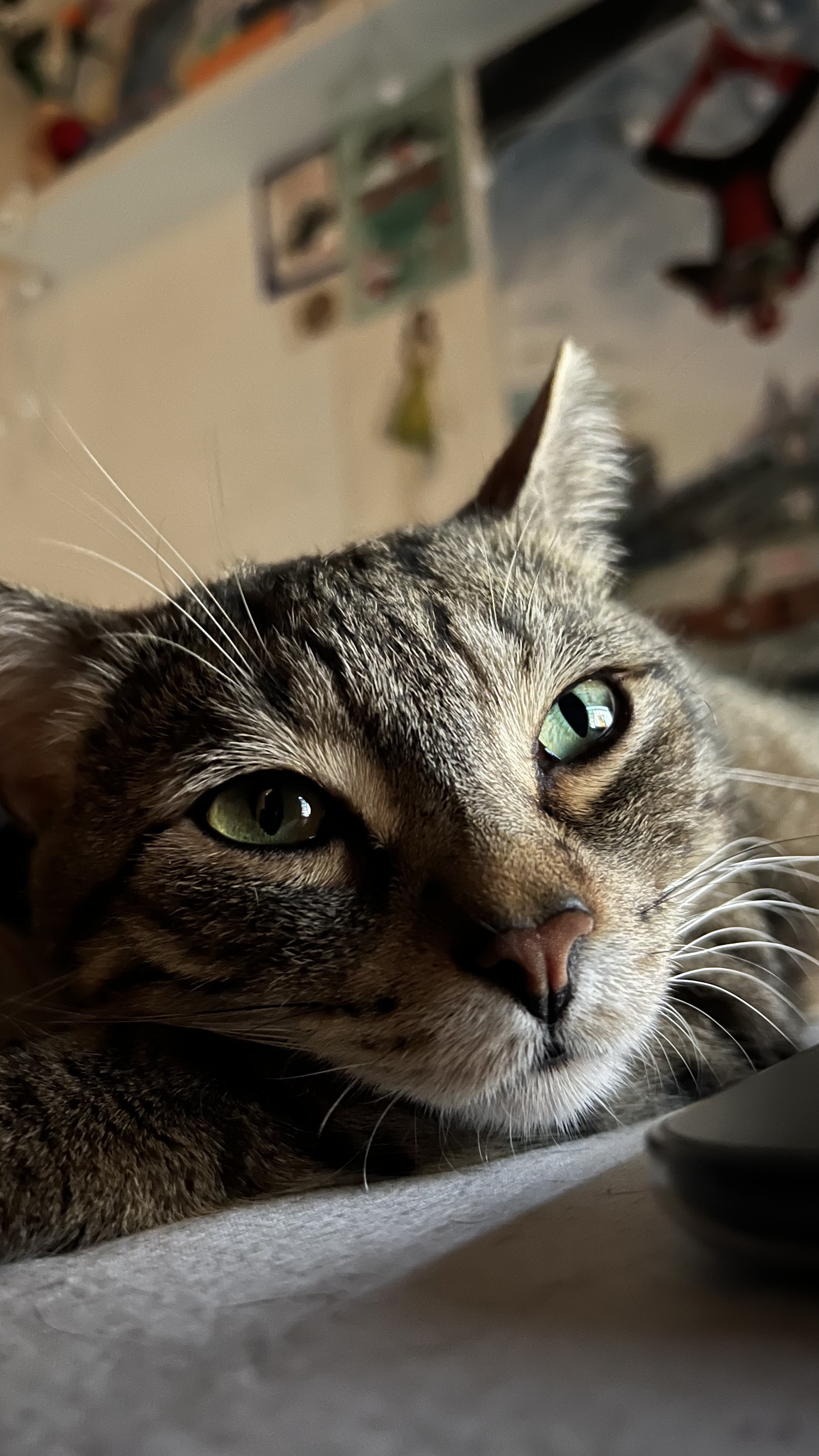 image-7