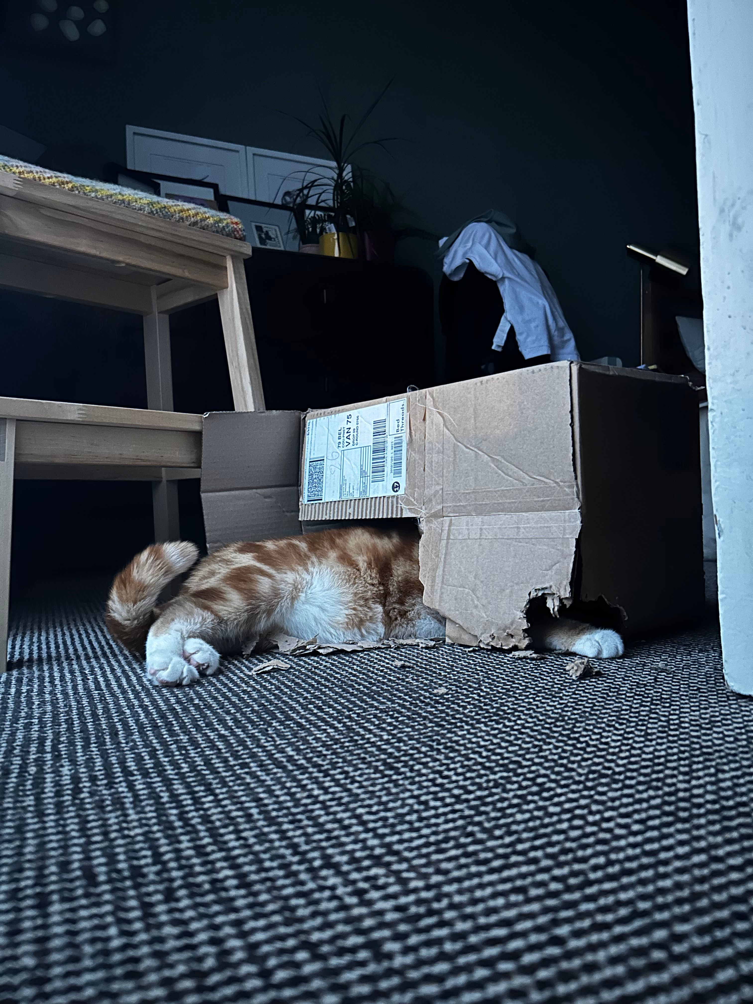 image-5