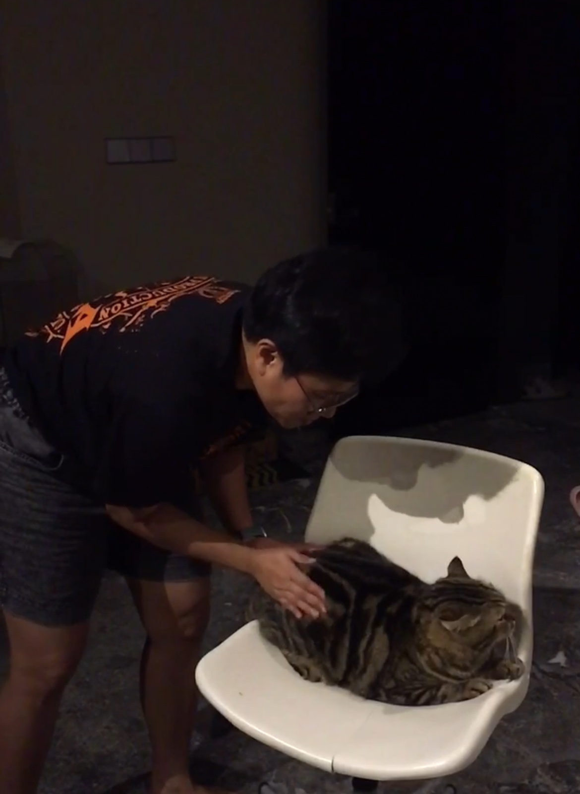 image-7