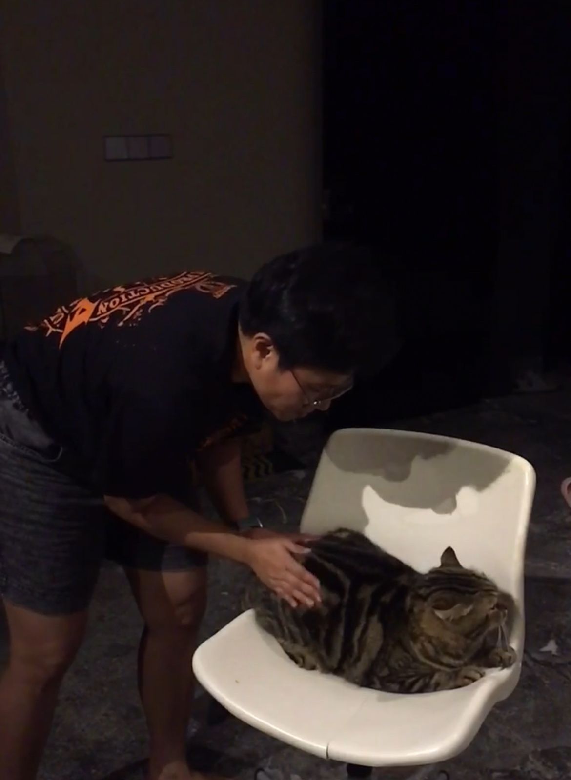 image-7