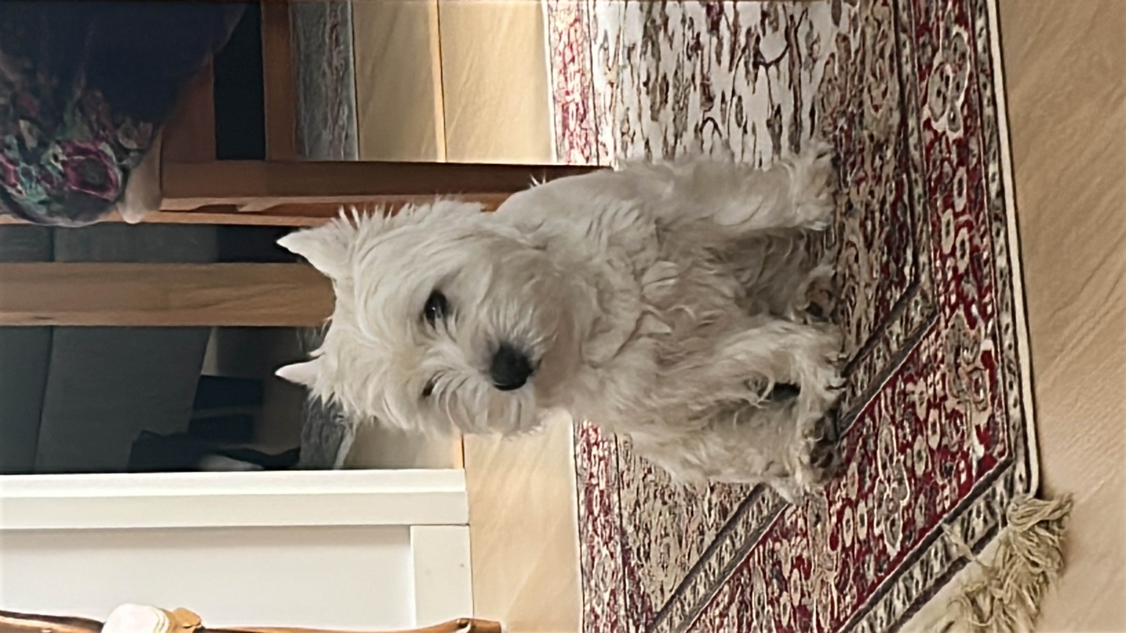 image-14