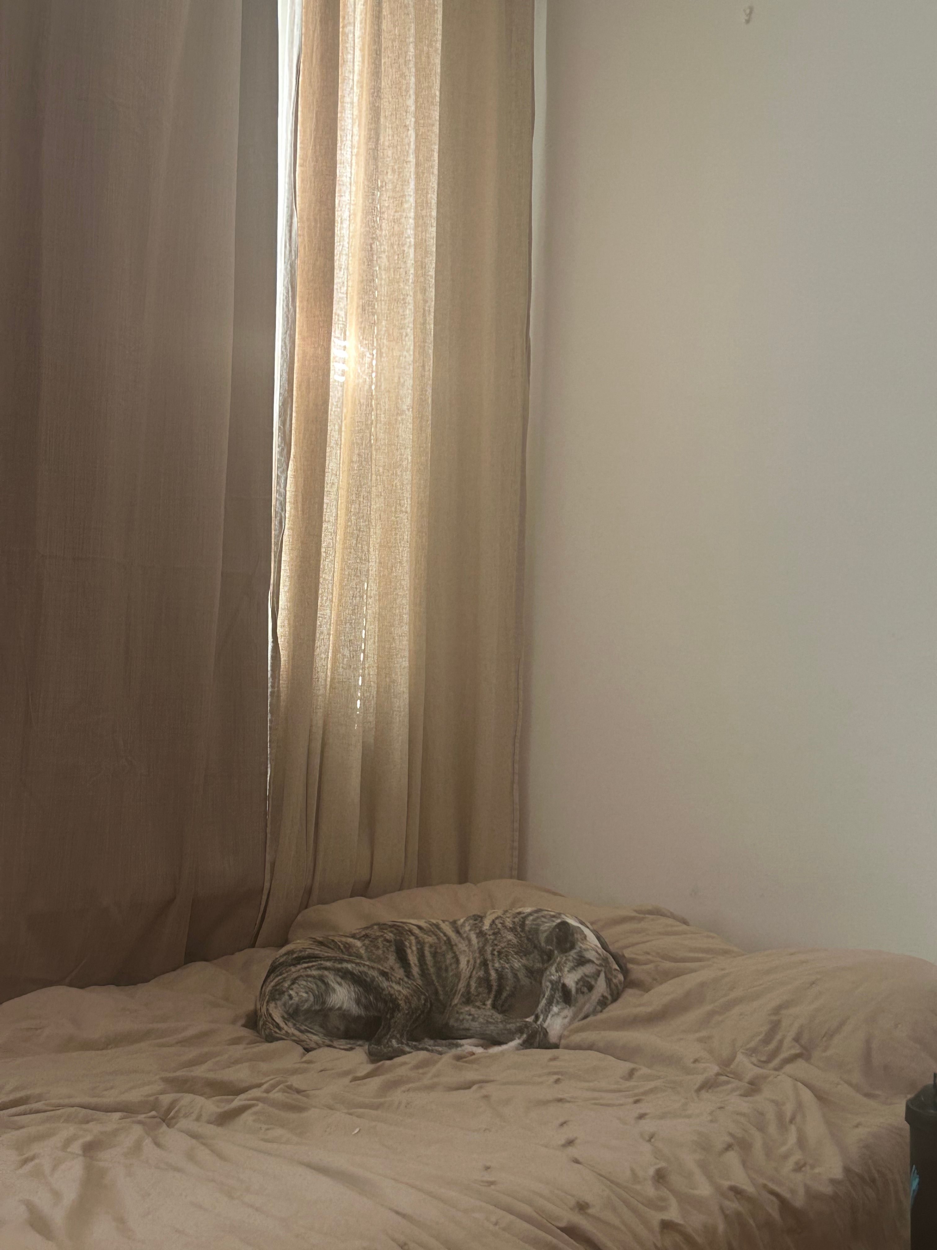 image-17